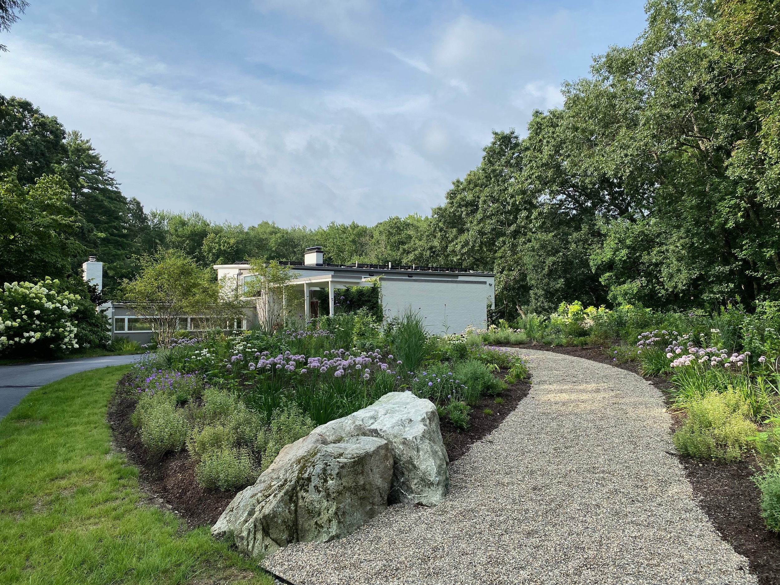 Mid-Century Modern Landscape Design | Ecological Restoration & Outdoor Living — Inge Daniels Design | Landscape Architecture and Design | Boston and Metrowest