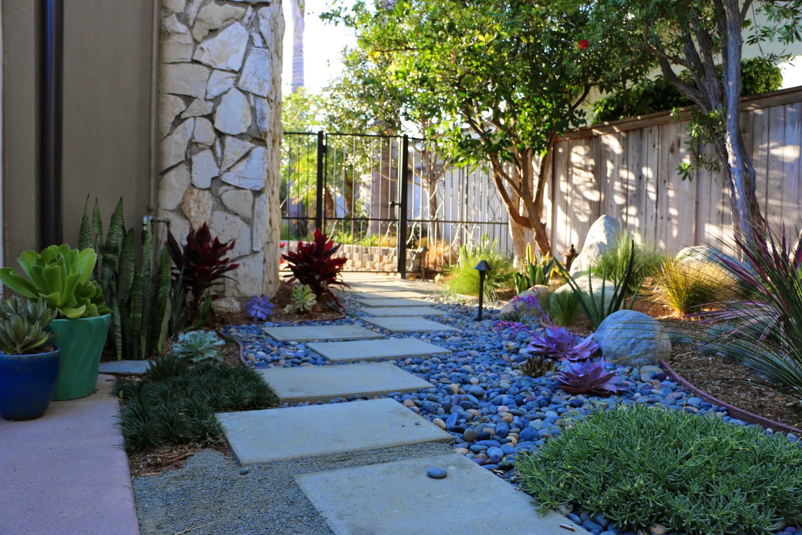 mid-century modern remodel: mid-century modern drought tolerant landscaping