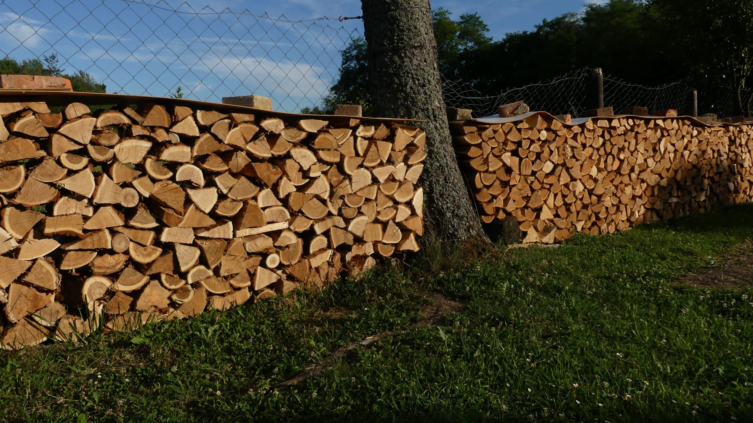Neatly stacked firewood logs lined up along a garden fence under blue skies.