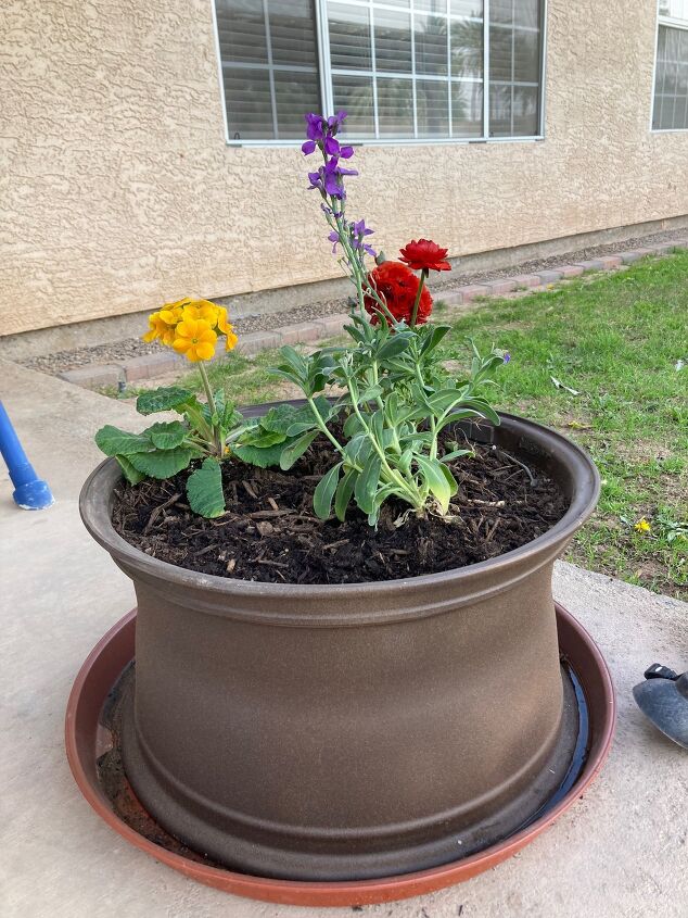 Need a Fun Spring Project? Transform Old Tire Rims into Stunning Planters! | Hometalk