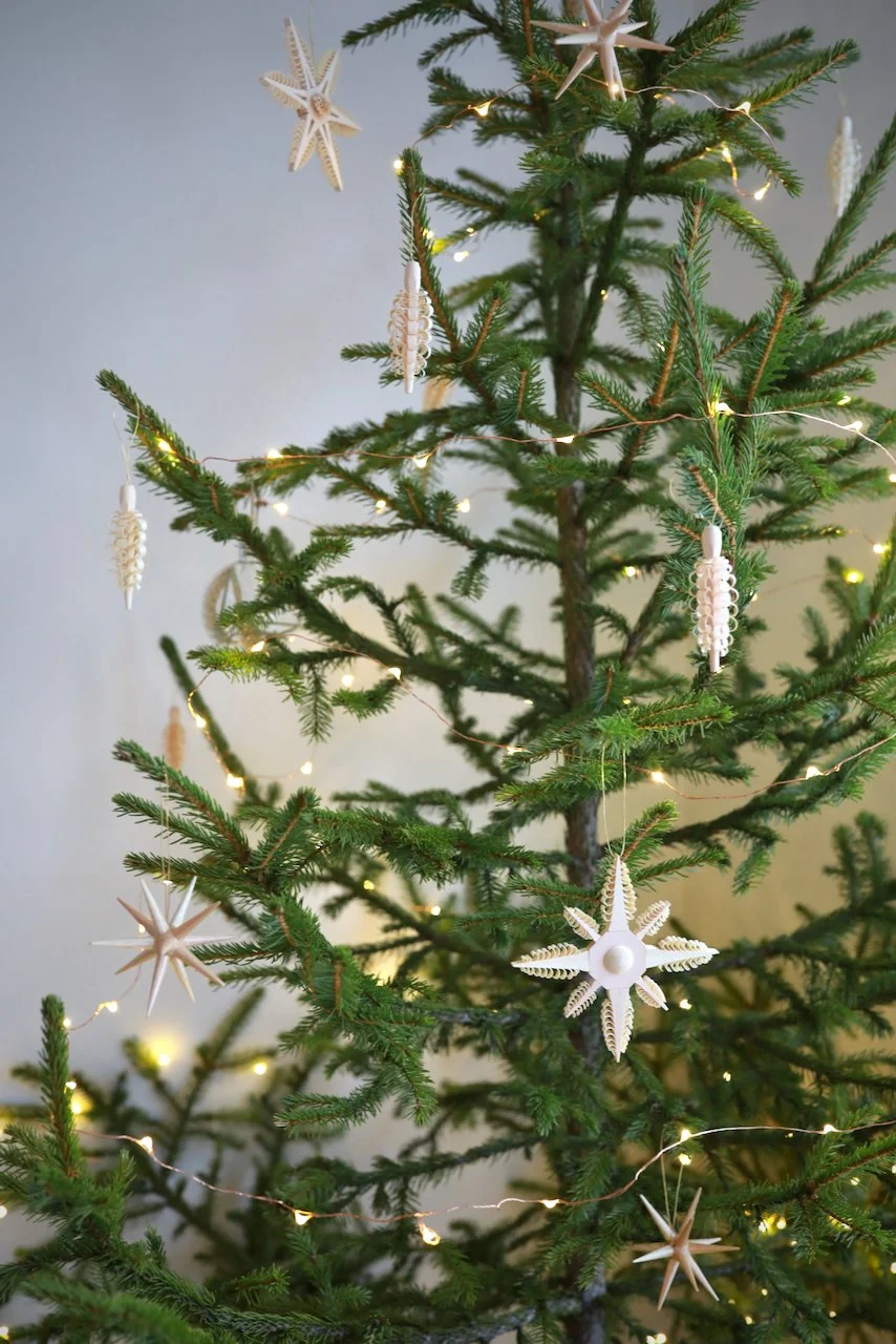Pinecone Ornament — The Shed