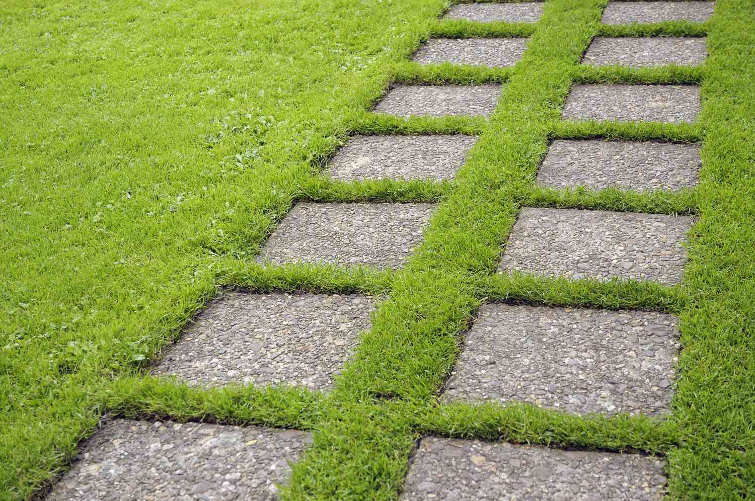 Put Concrete Stepping Stones In Your Garden
