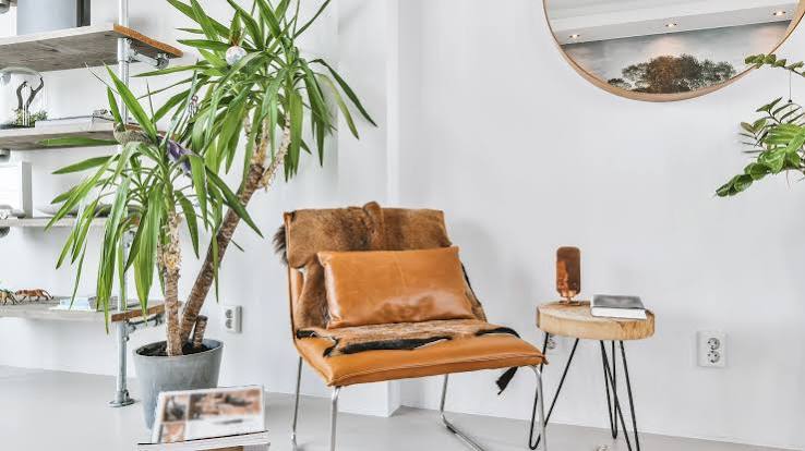 Rental-Friendly Decor Tips: Contact Laramie Property Management