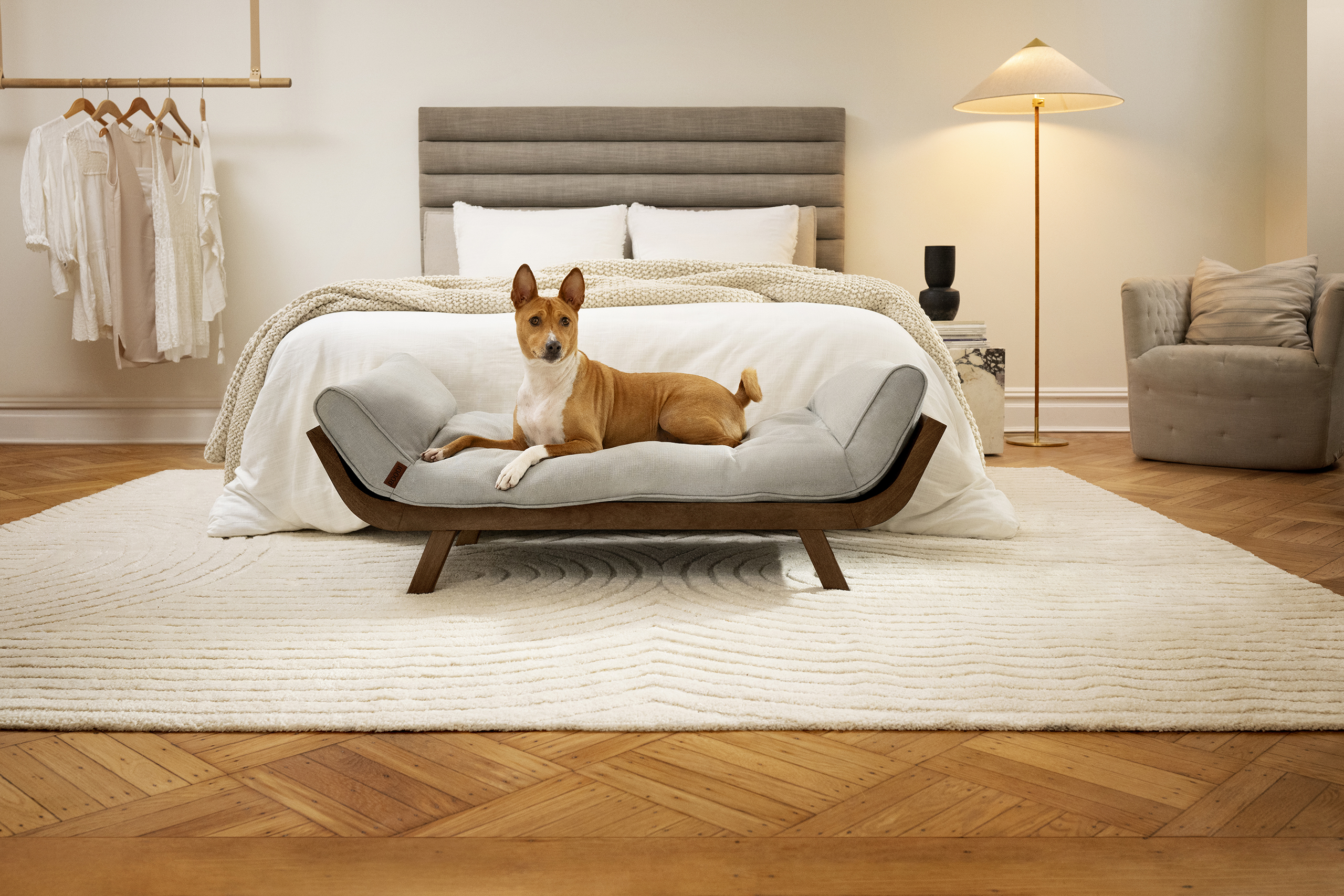 ROOOF Launches Modern Dog Beds for the Design-Conscious Pet Owner - adsofbrands.net