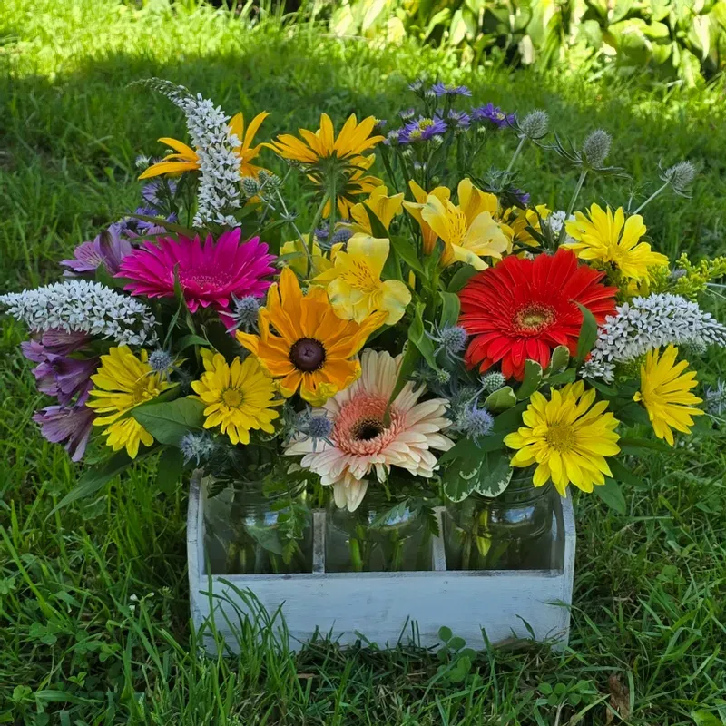 Rustic Charm Mason Jar Trio