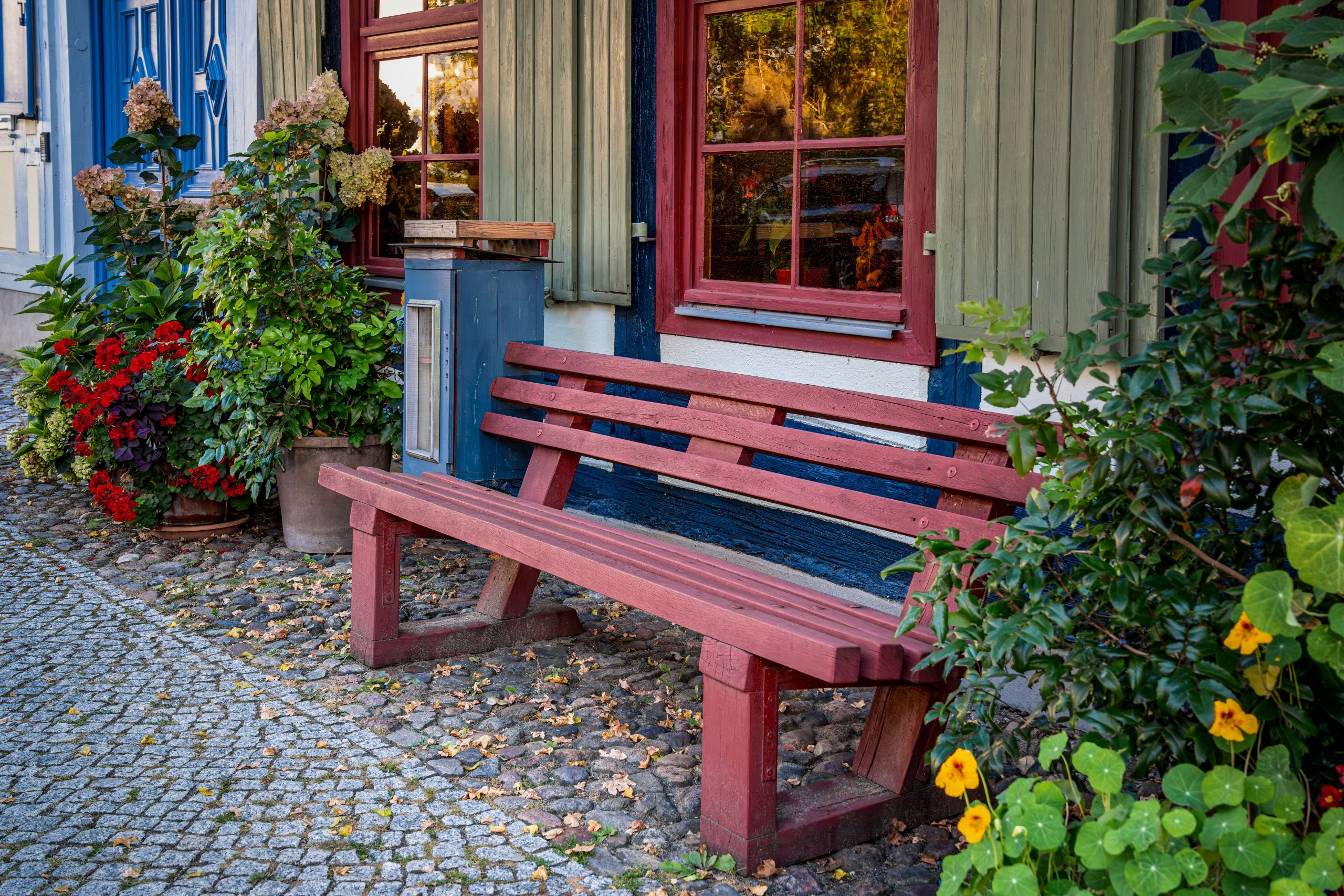 Rustic wooden bench surrounded by lush foliage outside a colorful home.