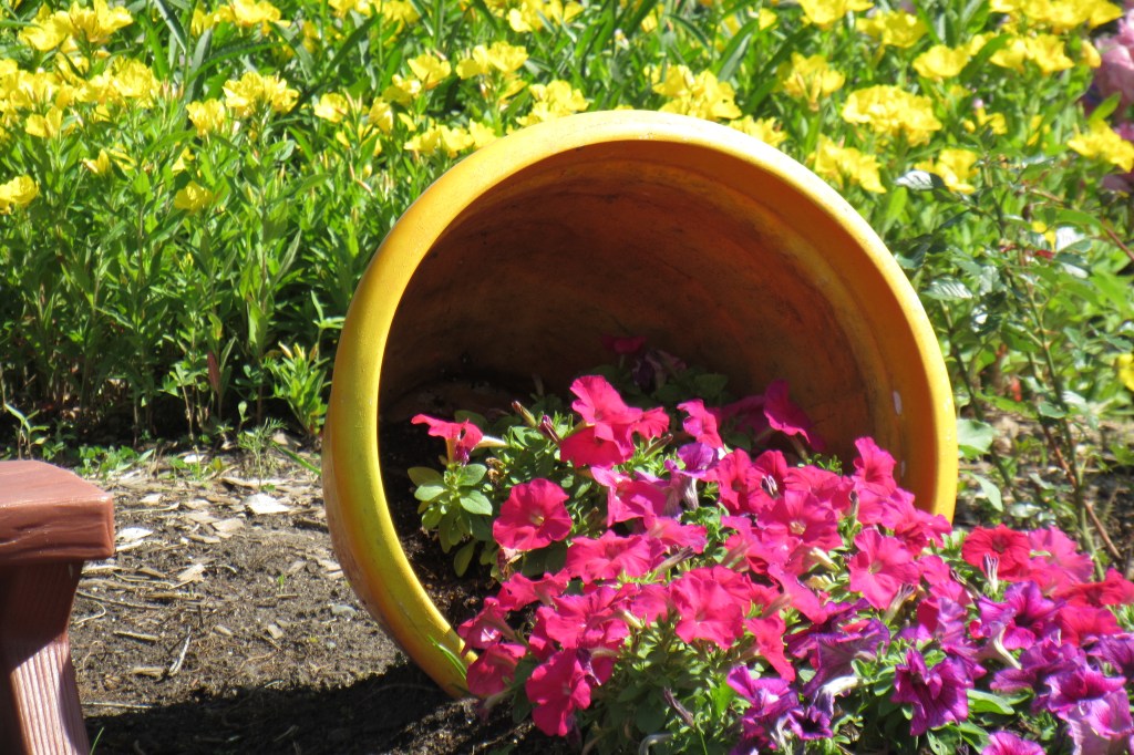 Spilled flower pot – Aji's Home