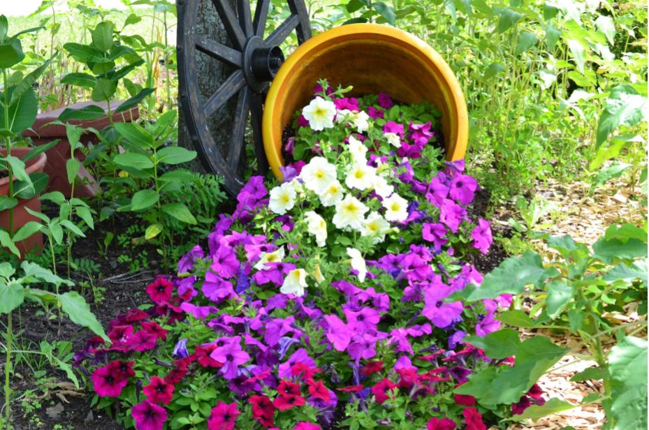 Spilled flower pot – Aji's Home