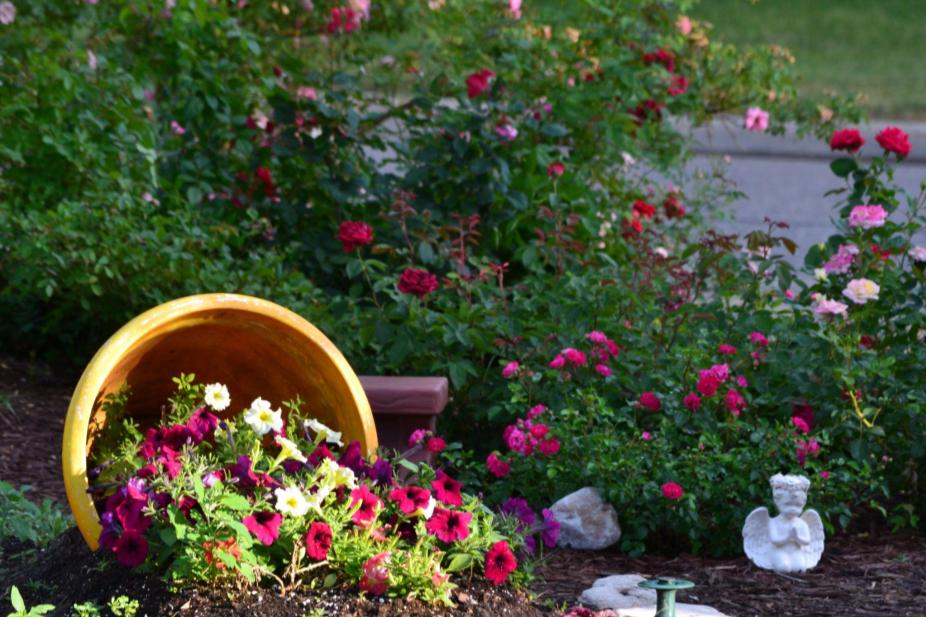 Spilled flower pot – Aji's Home