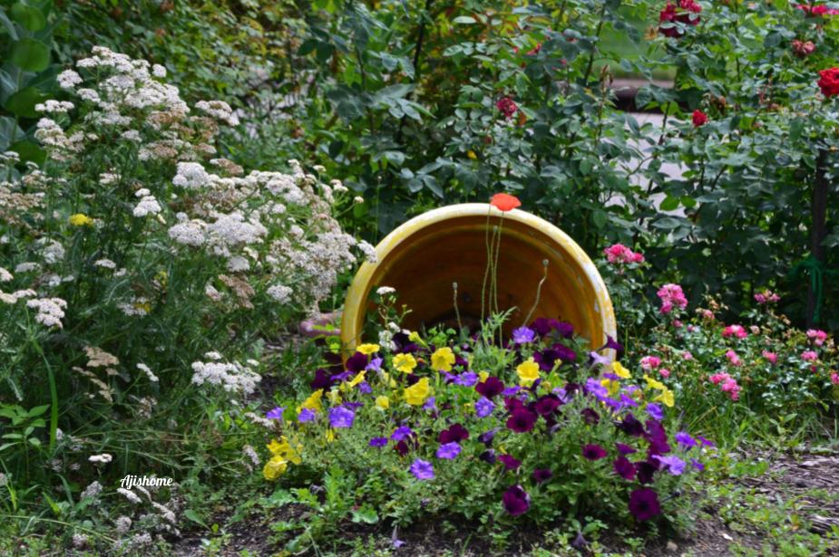 Spilled flower pot – Aji's Home