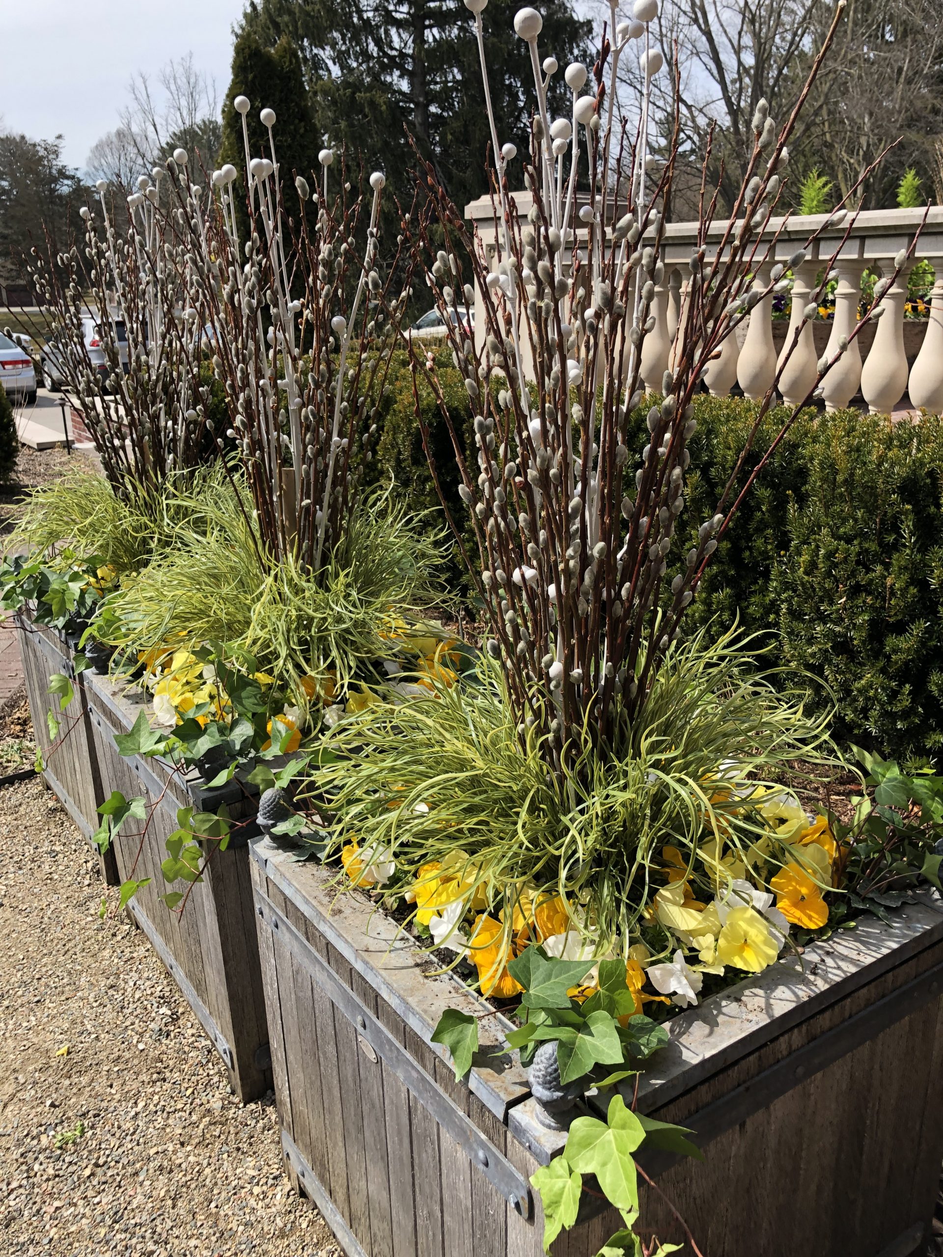spring container planting | Deborah Silver & Co.