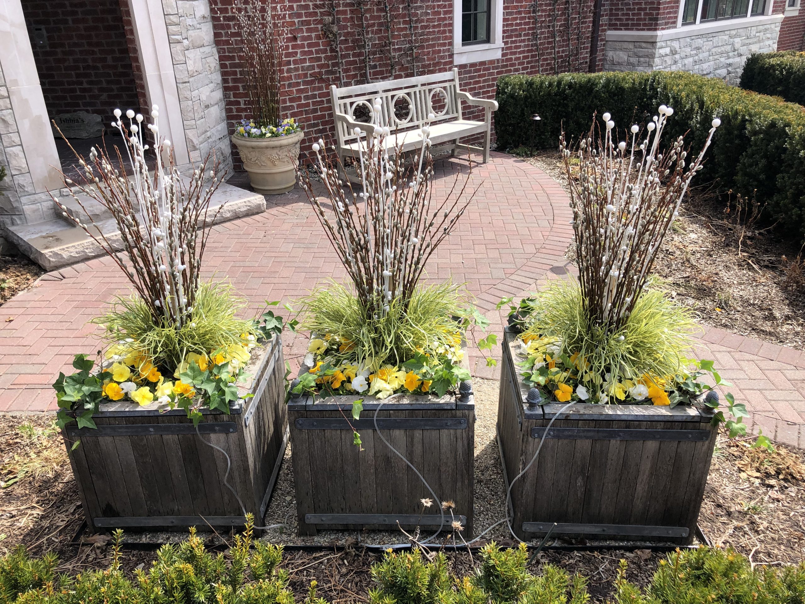spring container planting | Deborah Silver & Co.