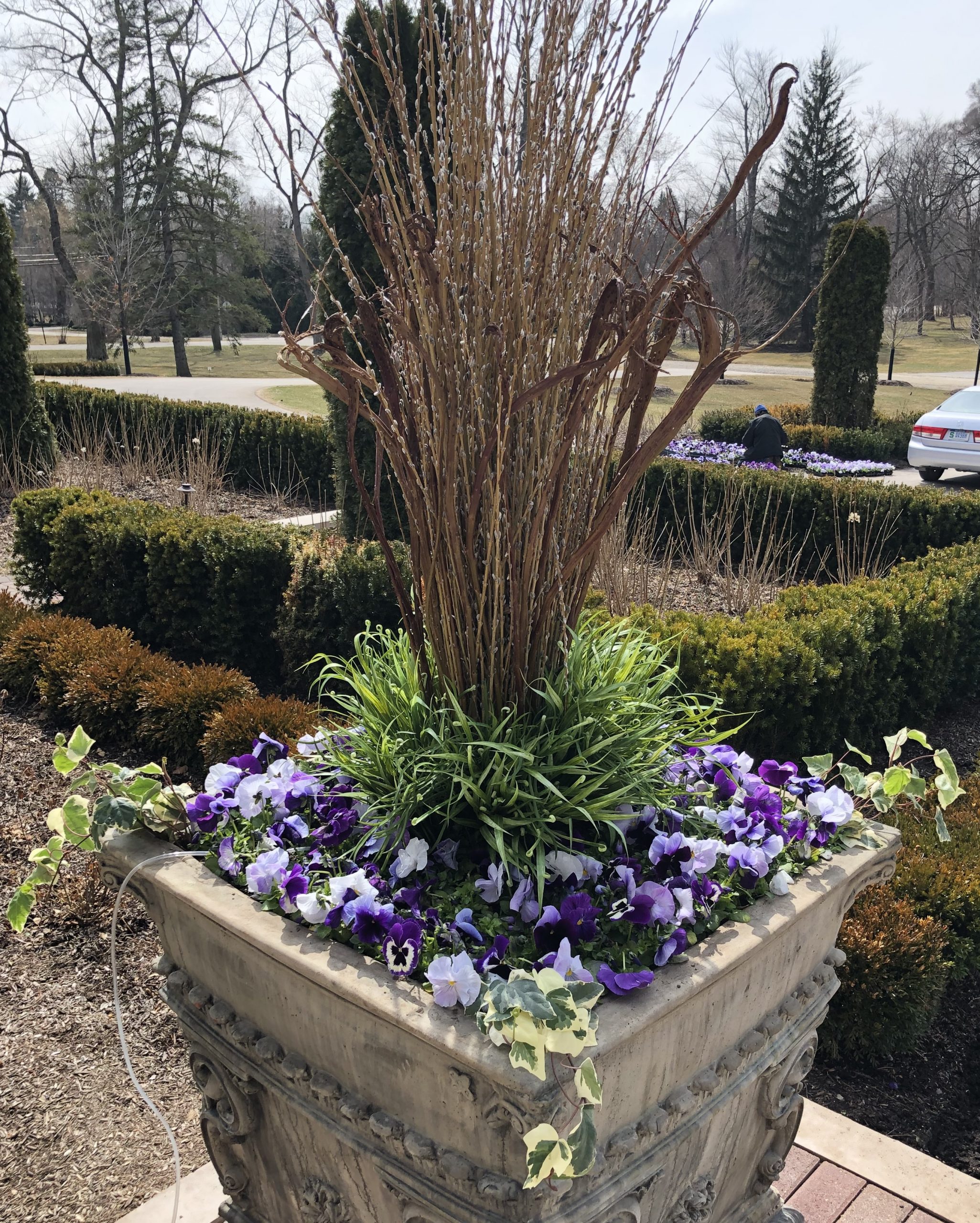 spring container planting | Deborah Silver & Co.