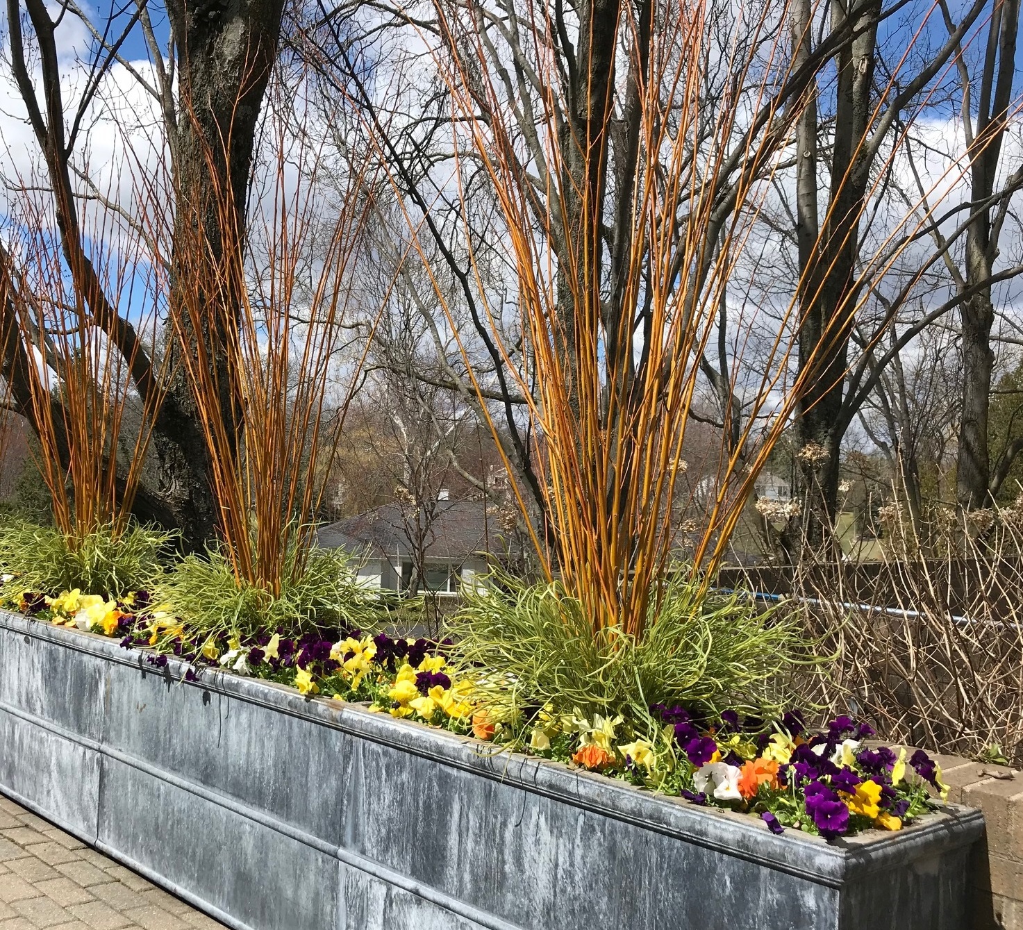 spring container planting | Deborah Silver & Co.