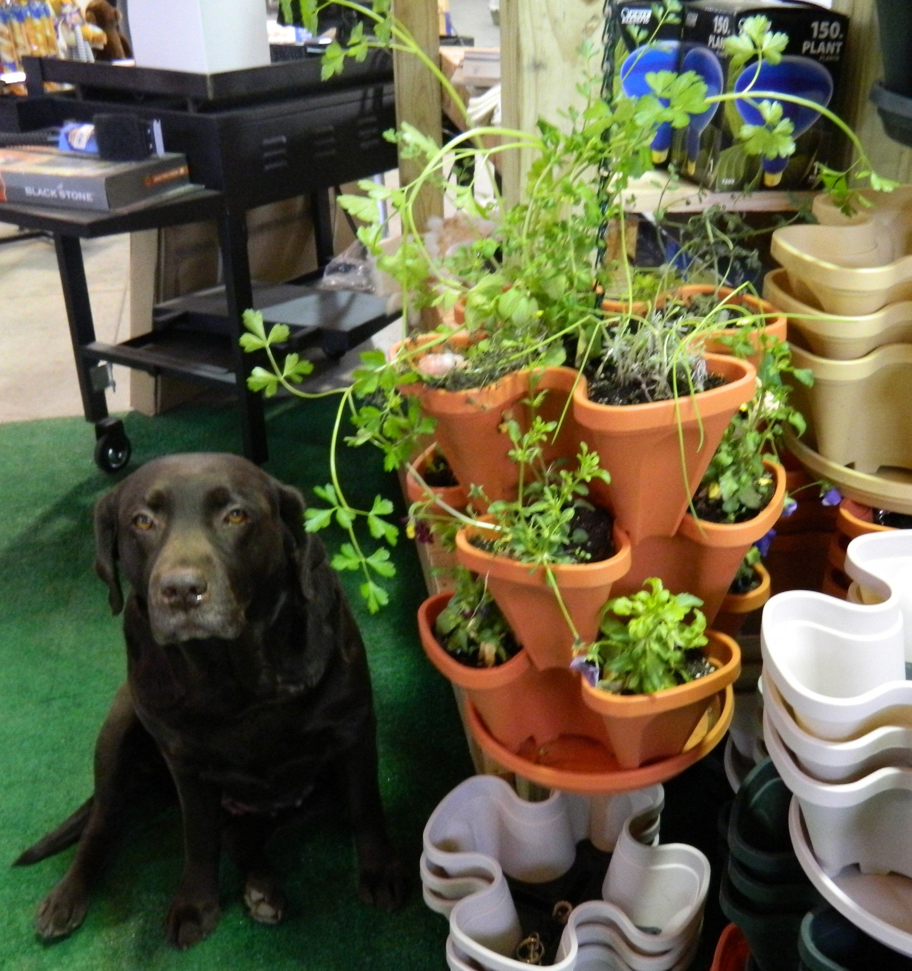 Stack & Grow Planter - Planktown Hardware & More