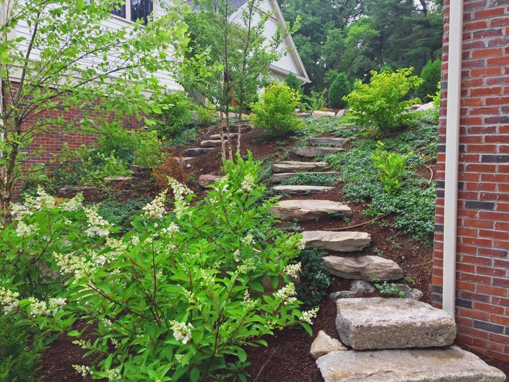 Stepping Stones on a Hill | Artistic Landscapes