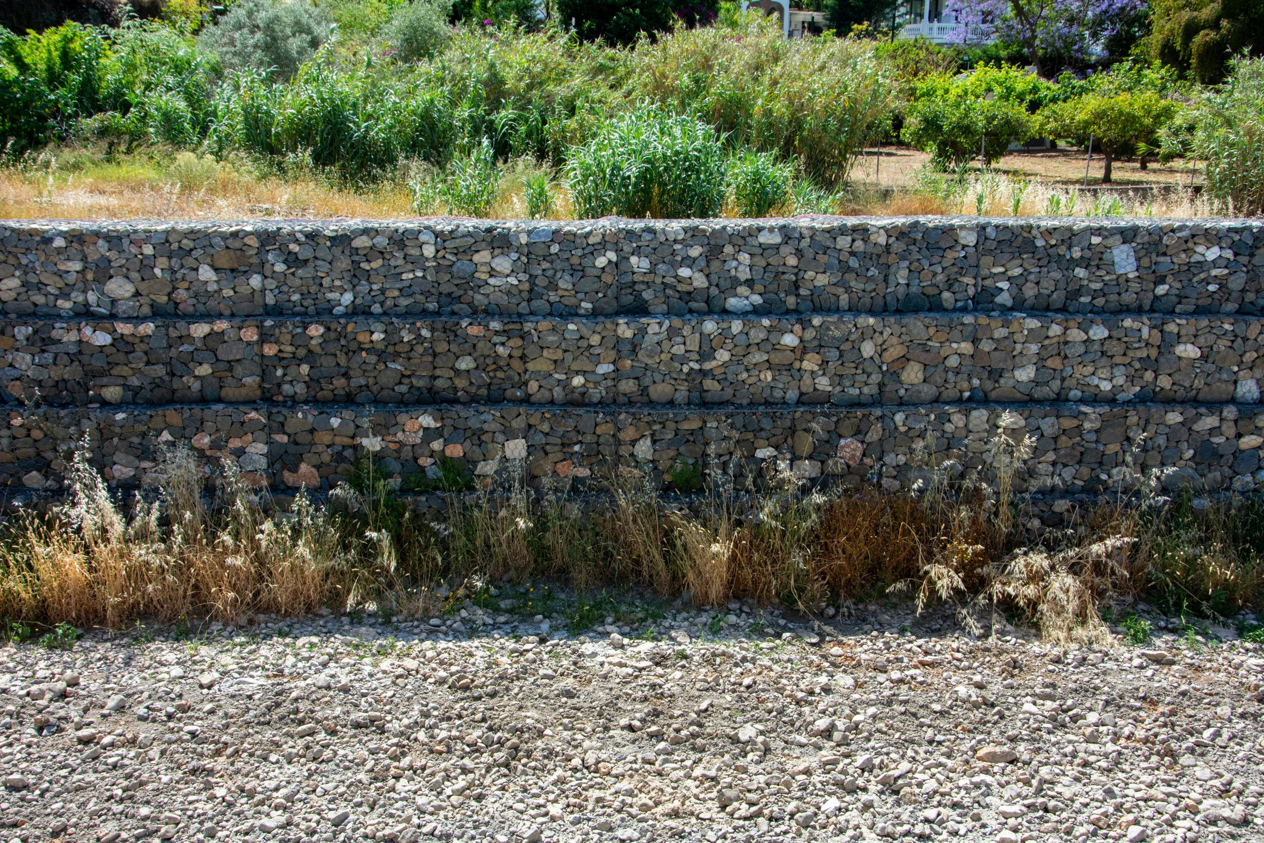 Stone gabion wall with dry grass and green plants.