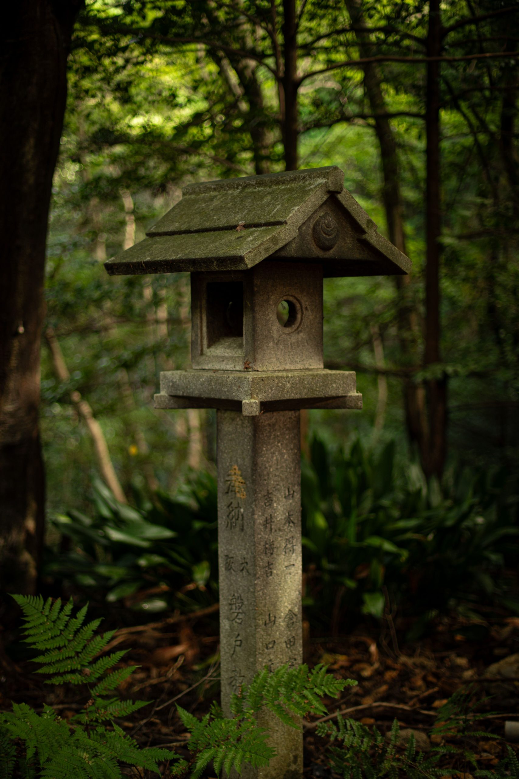 Stone lantern in serene Kyoto forest, capturing Japanese tradition and natural beauty.