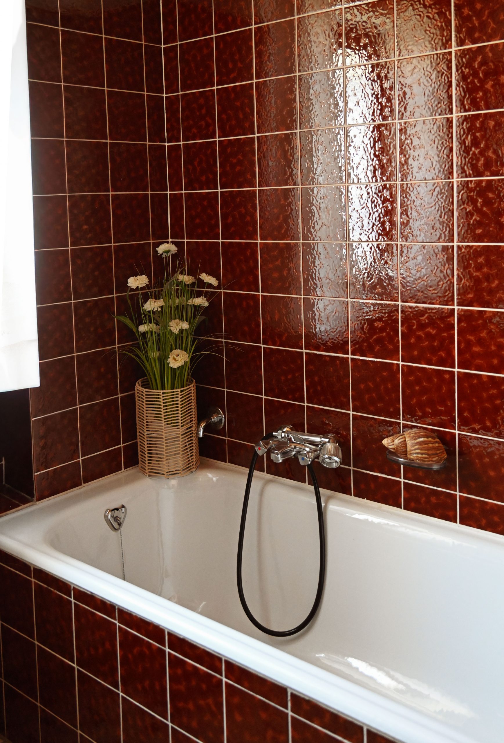 Stylish bathroom interior with deep red tiles and a white bathtub featuring a decorative plant.