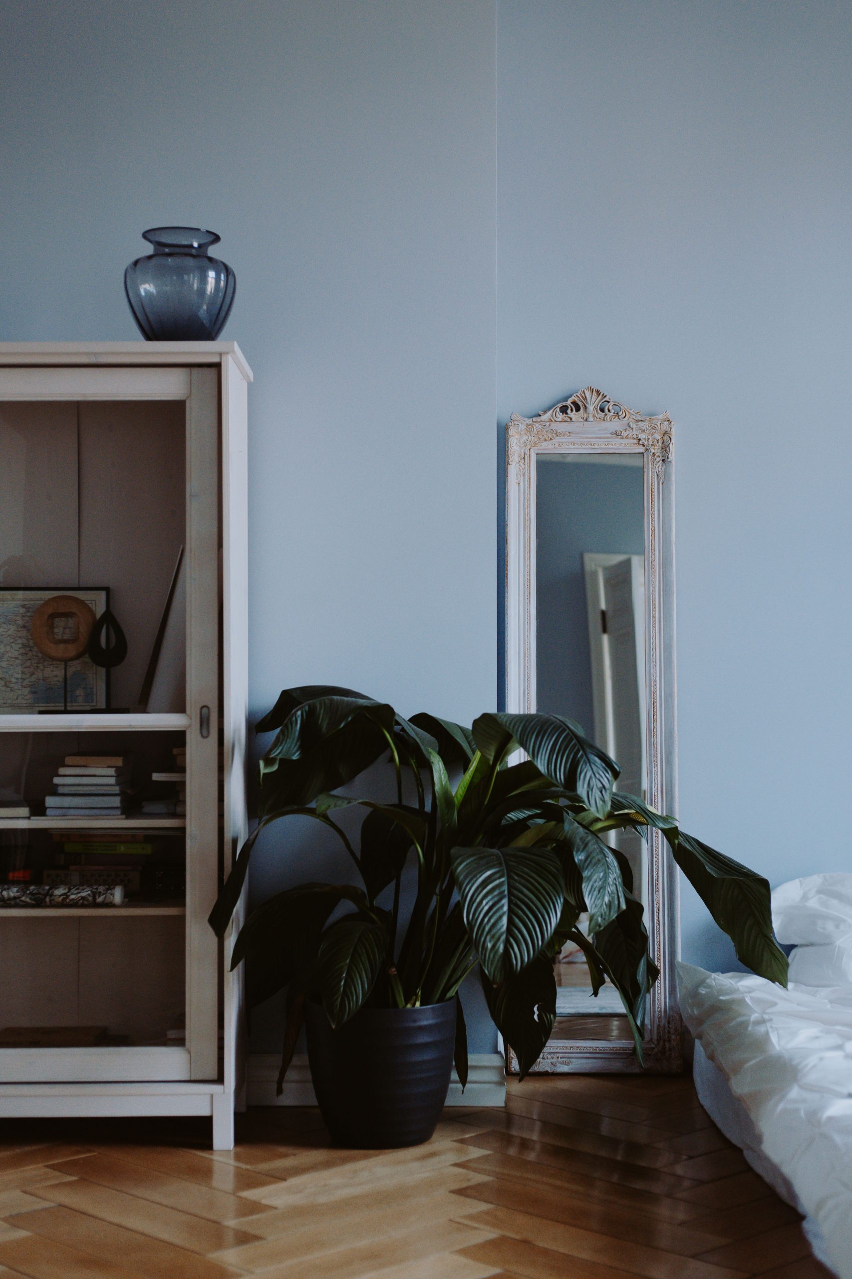 Stylish bedroom showcasing a mirror, potted plant, and wooden cabinet against a blue wall.