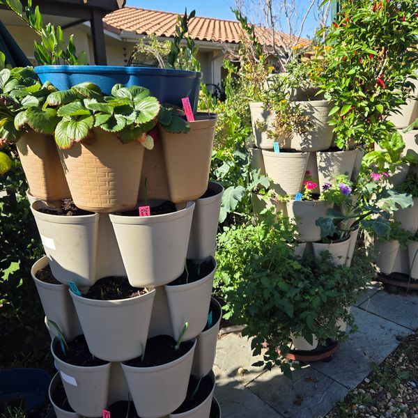 Top Water Reservoir | Evergreen (Basket Weave Texture) | GreenStalk Garden