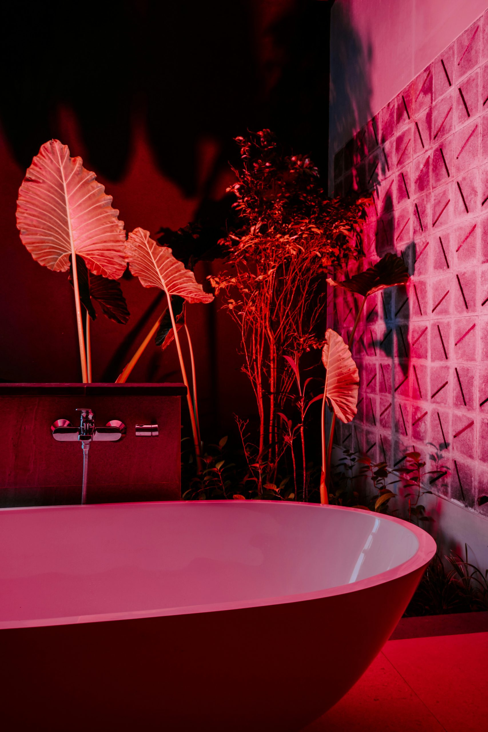 Tropical bathroom interior