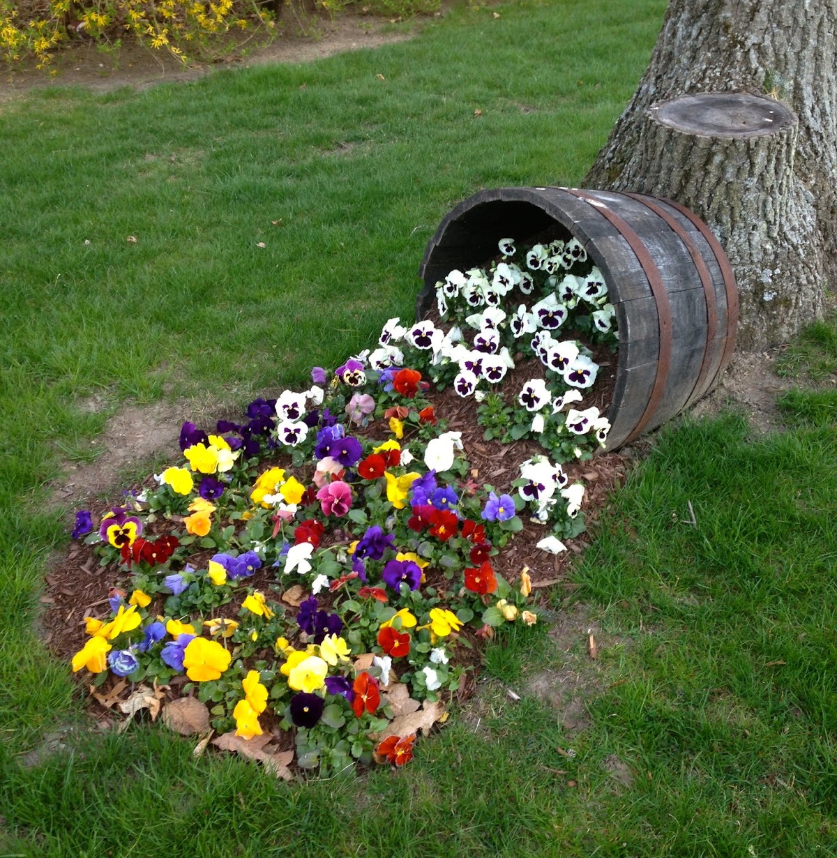 Two Men and a Little Farm: SPILLED FLOWERBED, INSPIRATION THURSDAY