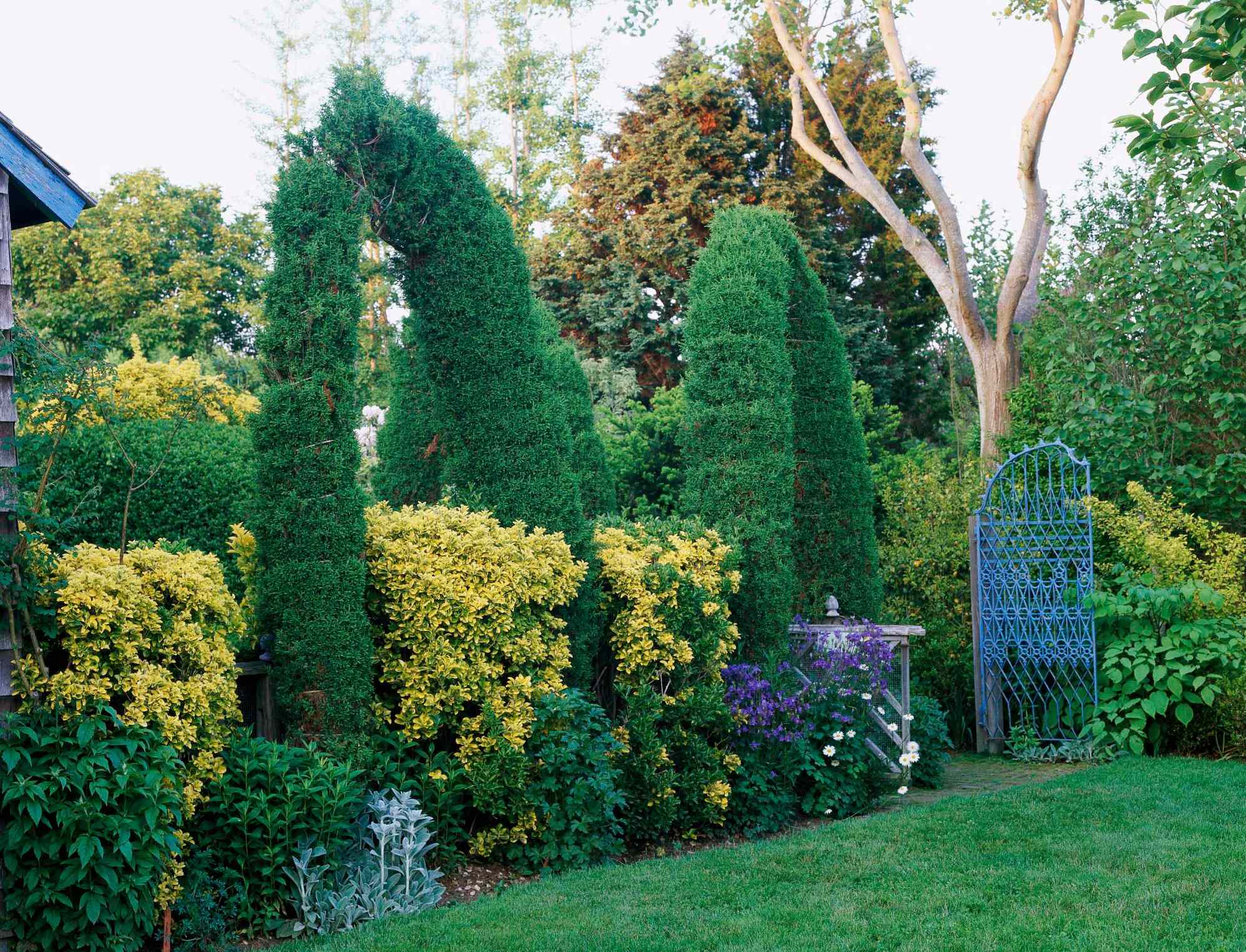 Use Evergreens to Make an Impact
