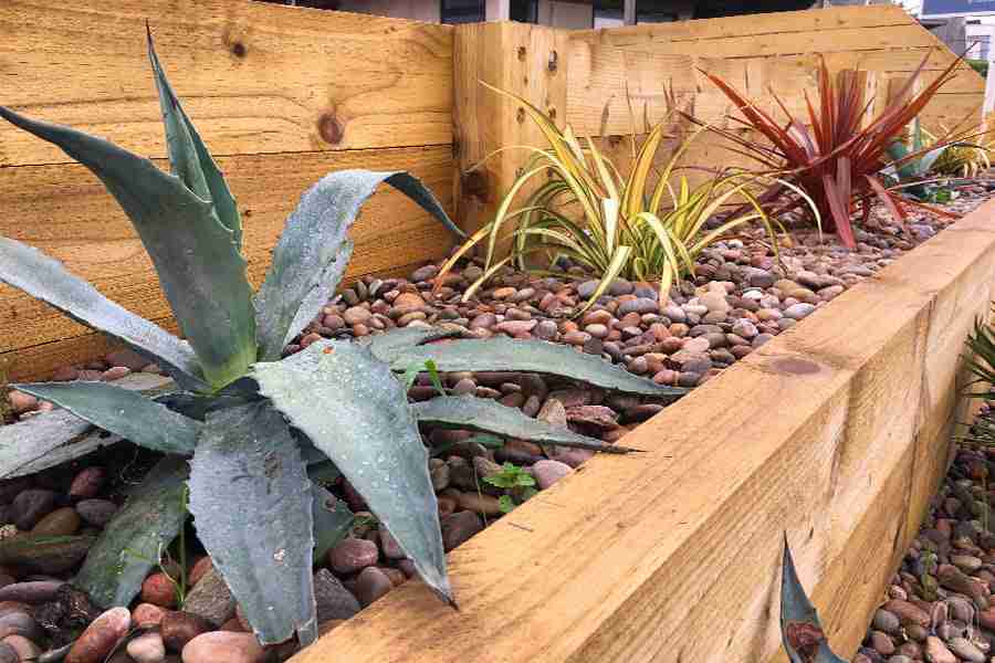 Using Decorative Gravels to Plant a Carefree Border Garden