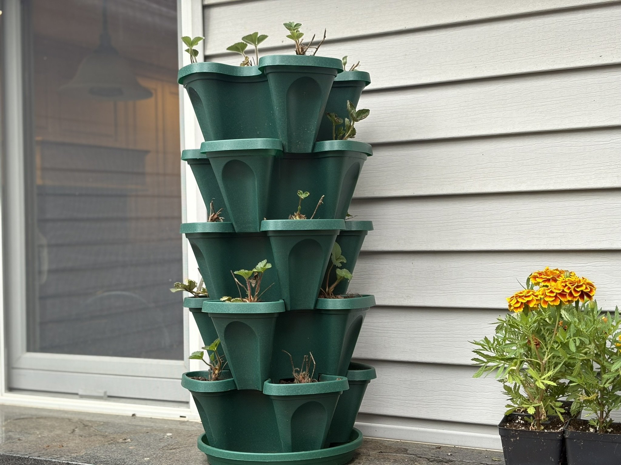 Vertical Gardening on a Budget: Mr. Stacky Planter Review — Lex In the Garden