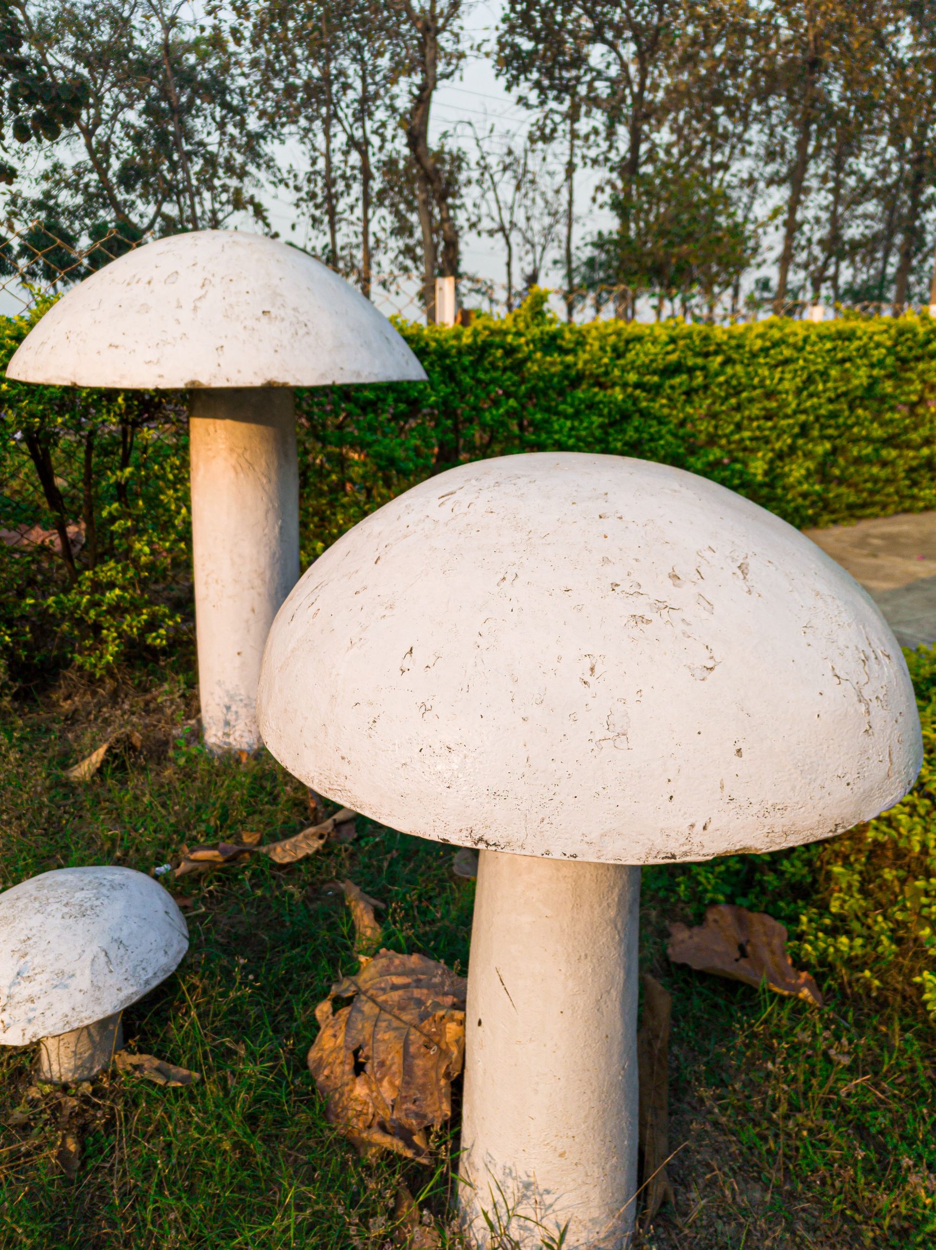 White concrete mushroom sculptures in a lush garden setting under daylight.