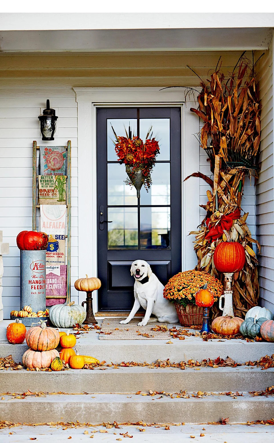 15 Festive Fall Porch Ideas You'll Want to Copy ASAP