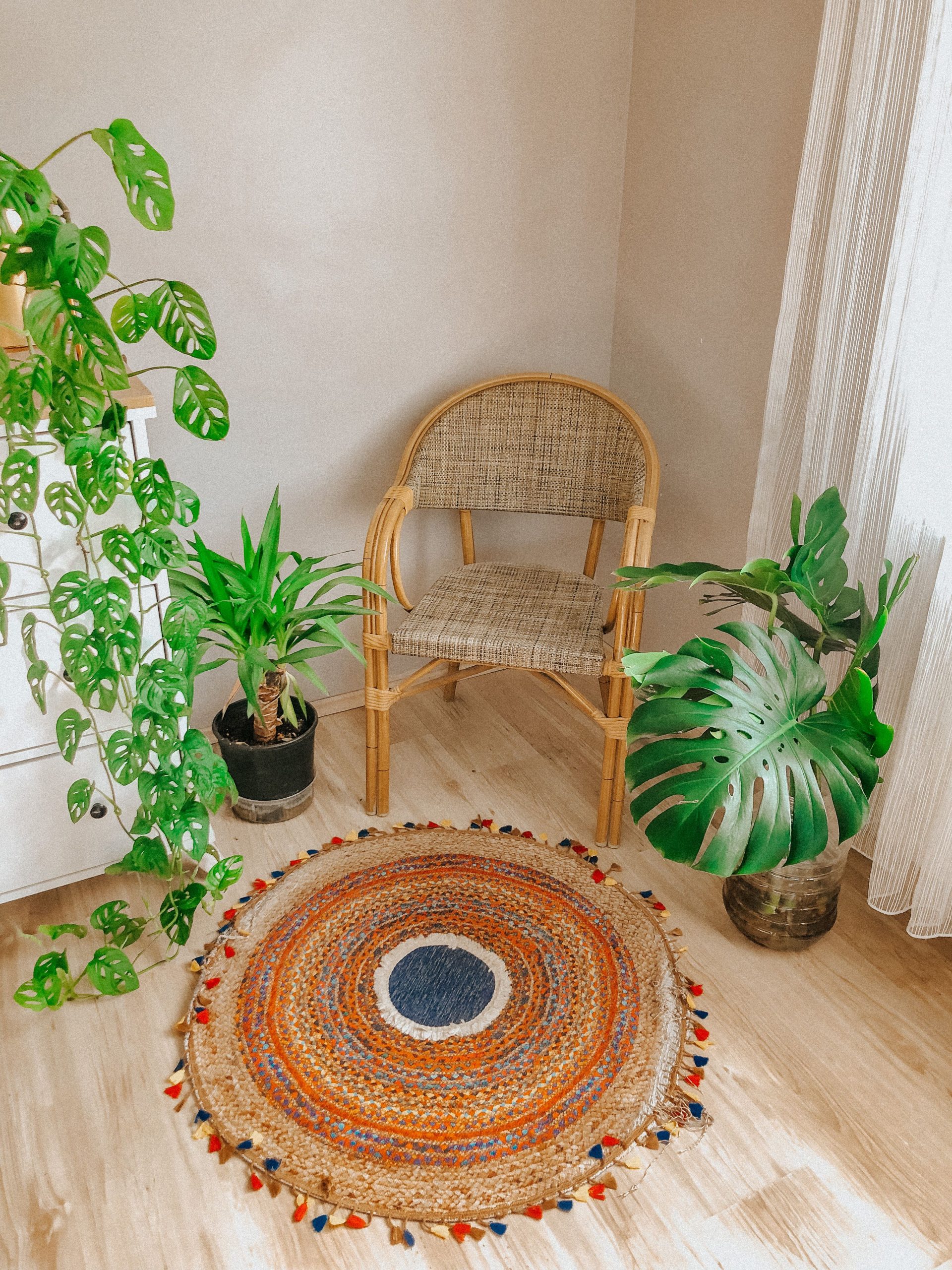 A cozy corner with a woven chair, house plants, and a colorful rug for a serene ambiance.