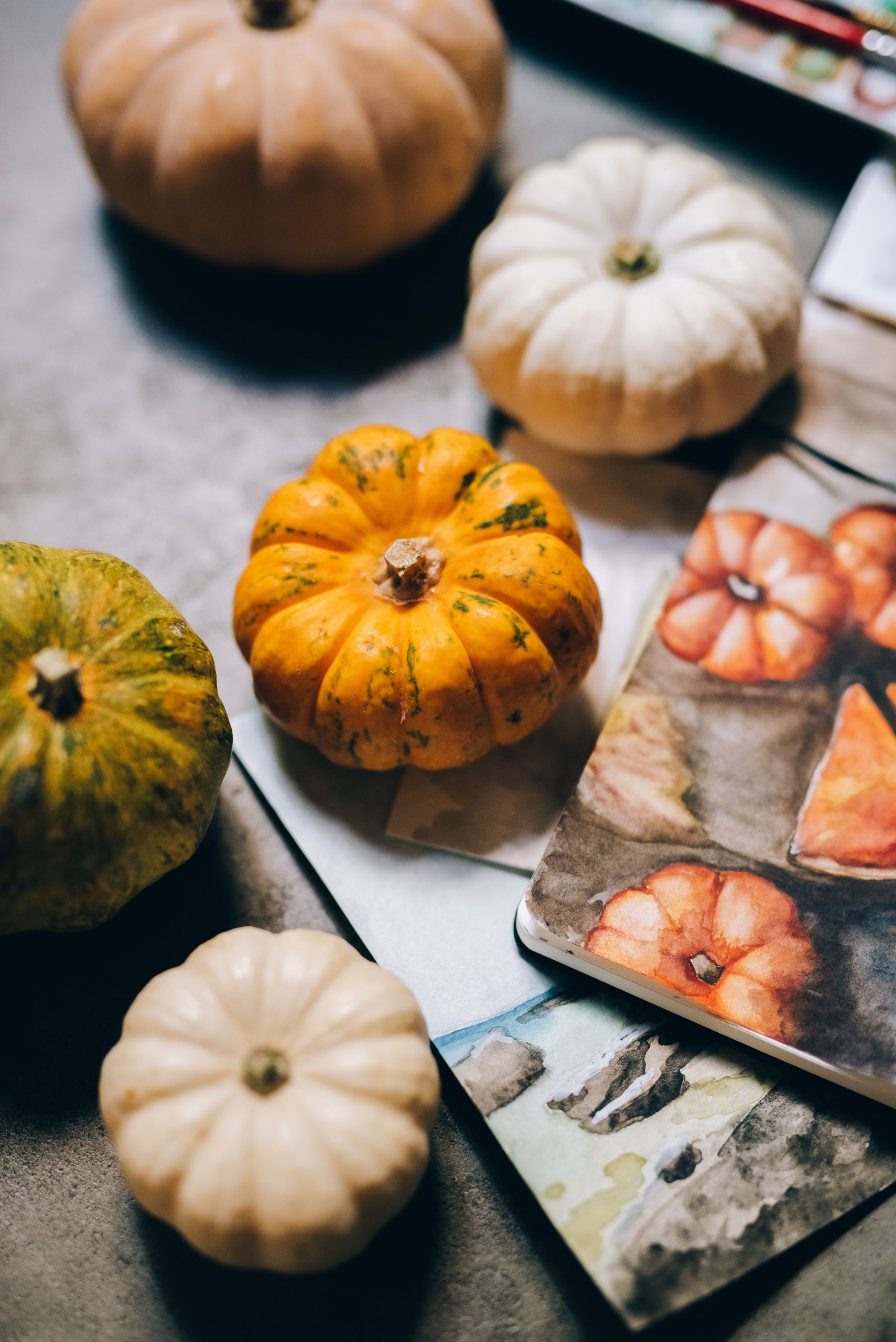 A creative display of assorted pumpkins and artwork in a studio setting.