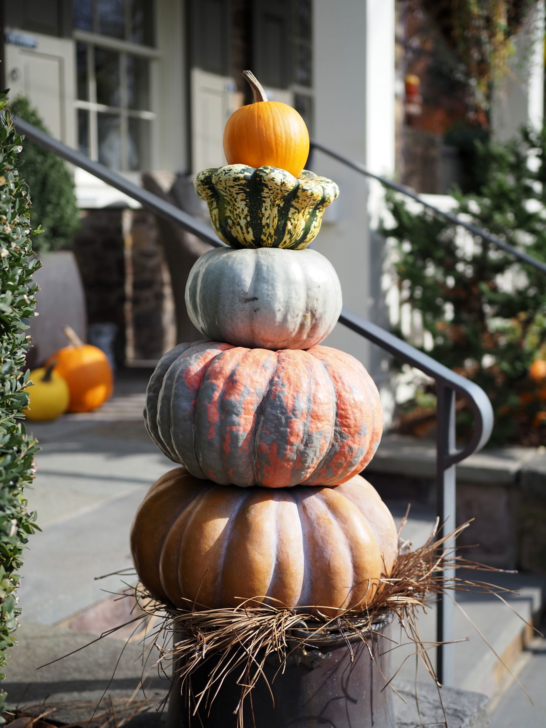 A decorative stack of pumpkins and gourds outside a house in Doylestown, Pennsylvania, capturing the essence of fall.