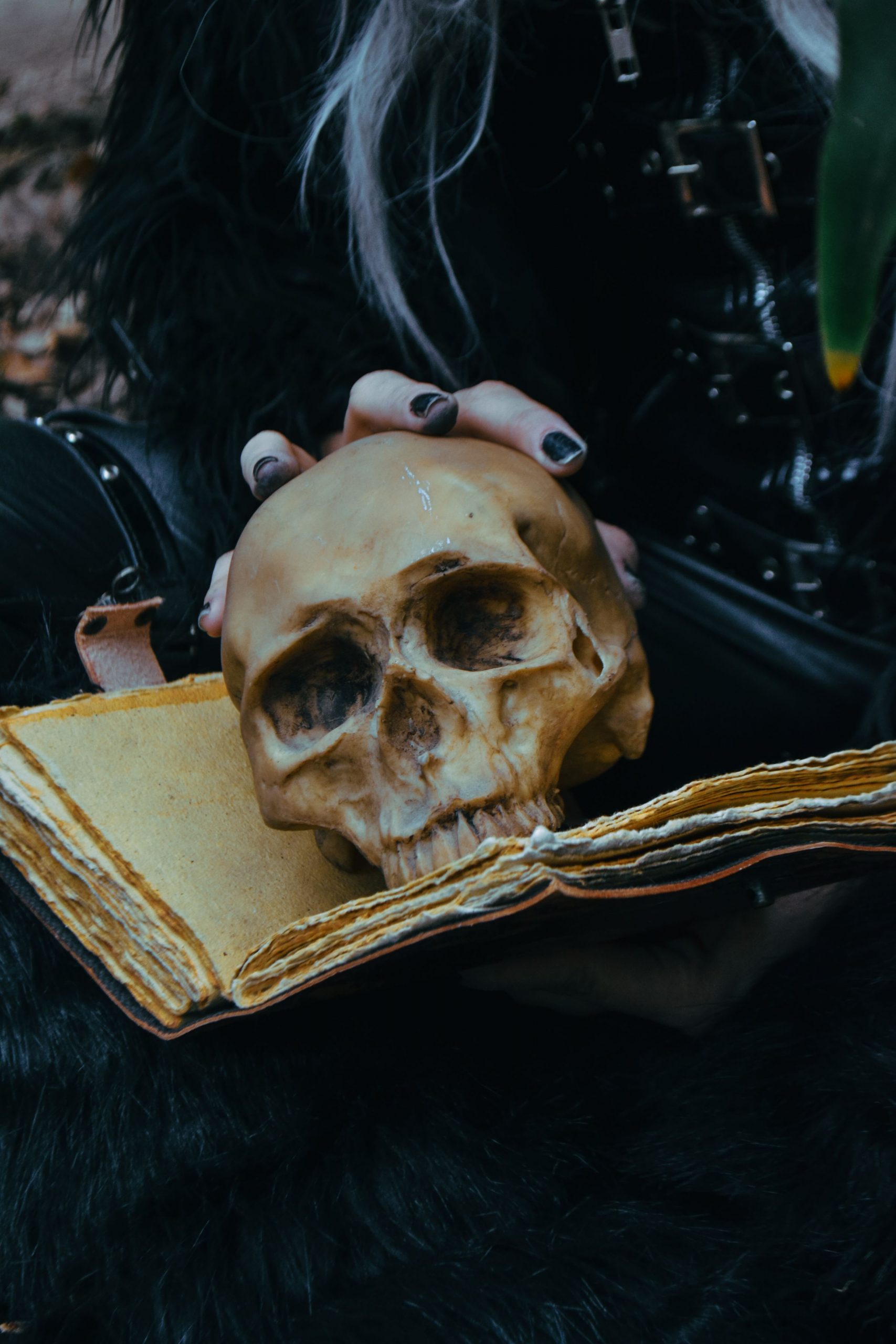 A moody scene with a skull resting atop an open ancient book, evoking mystery.