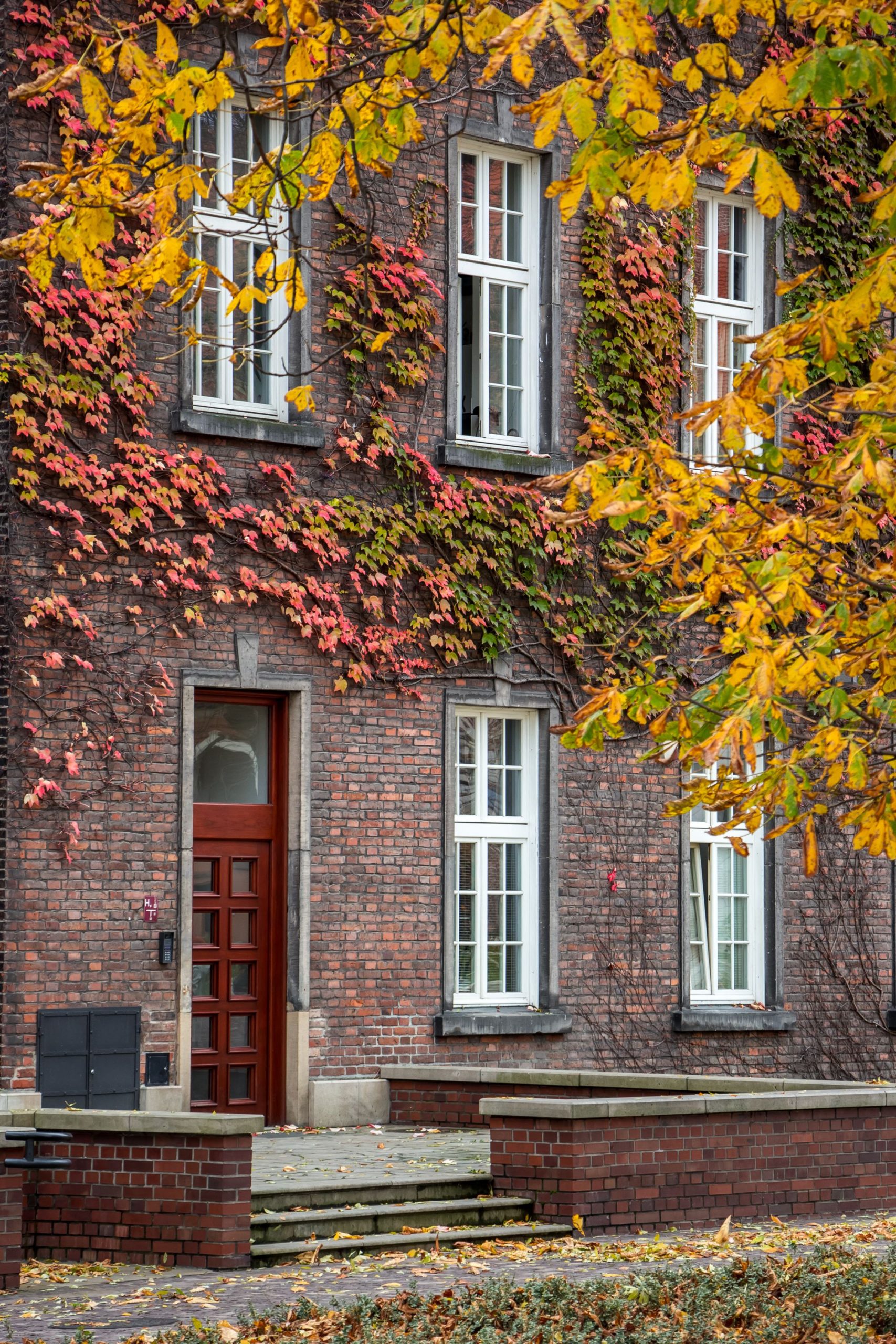 A picturesque brick building adorned with vibrant fall ivy, creating an inviting autumn ambiance.