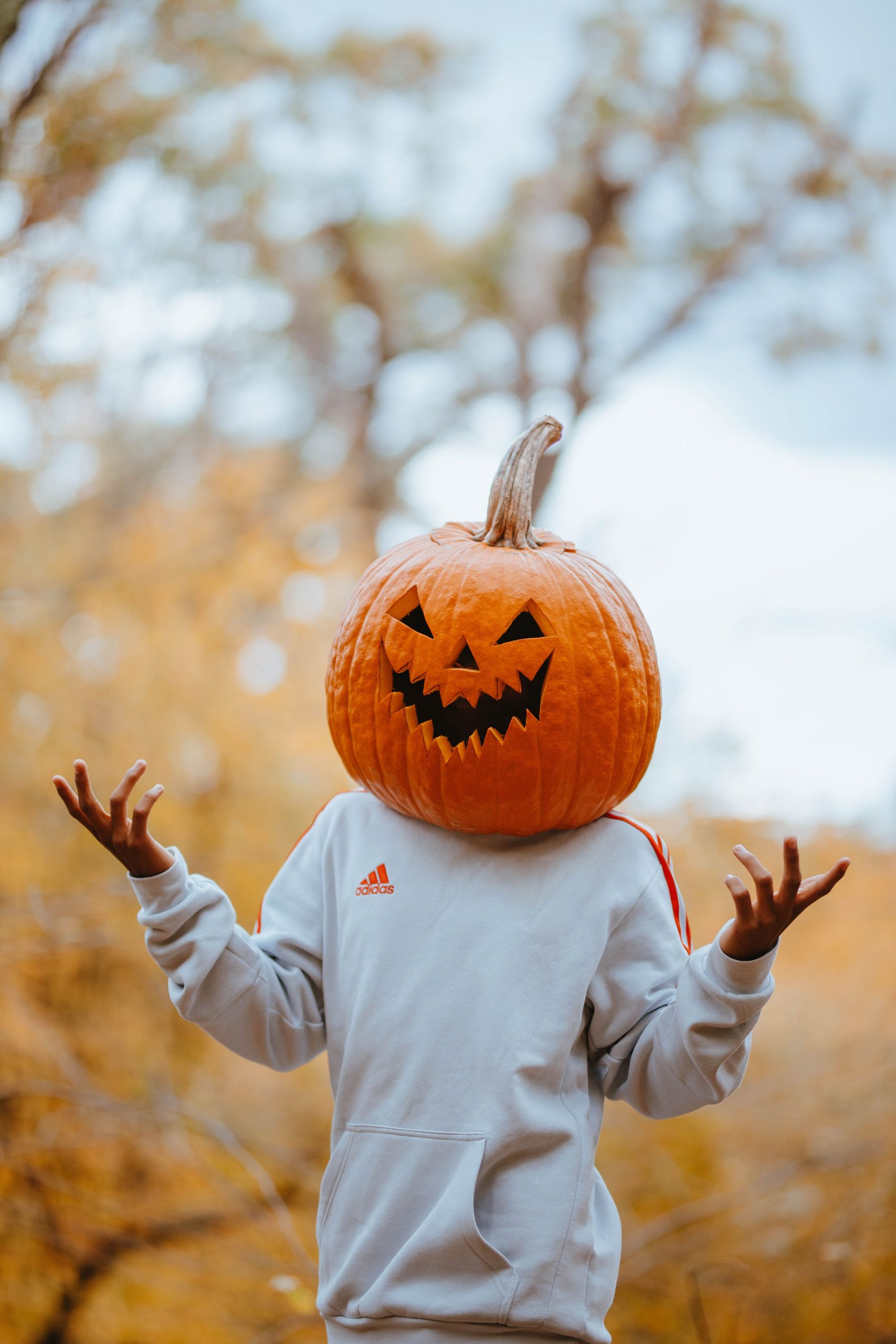 A playful autumn scene featuring a person in a hoodie with a pumpkin head in a fall forest.