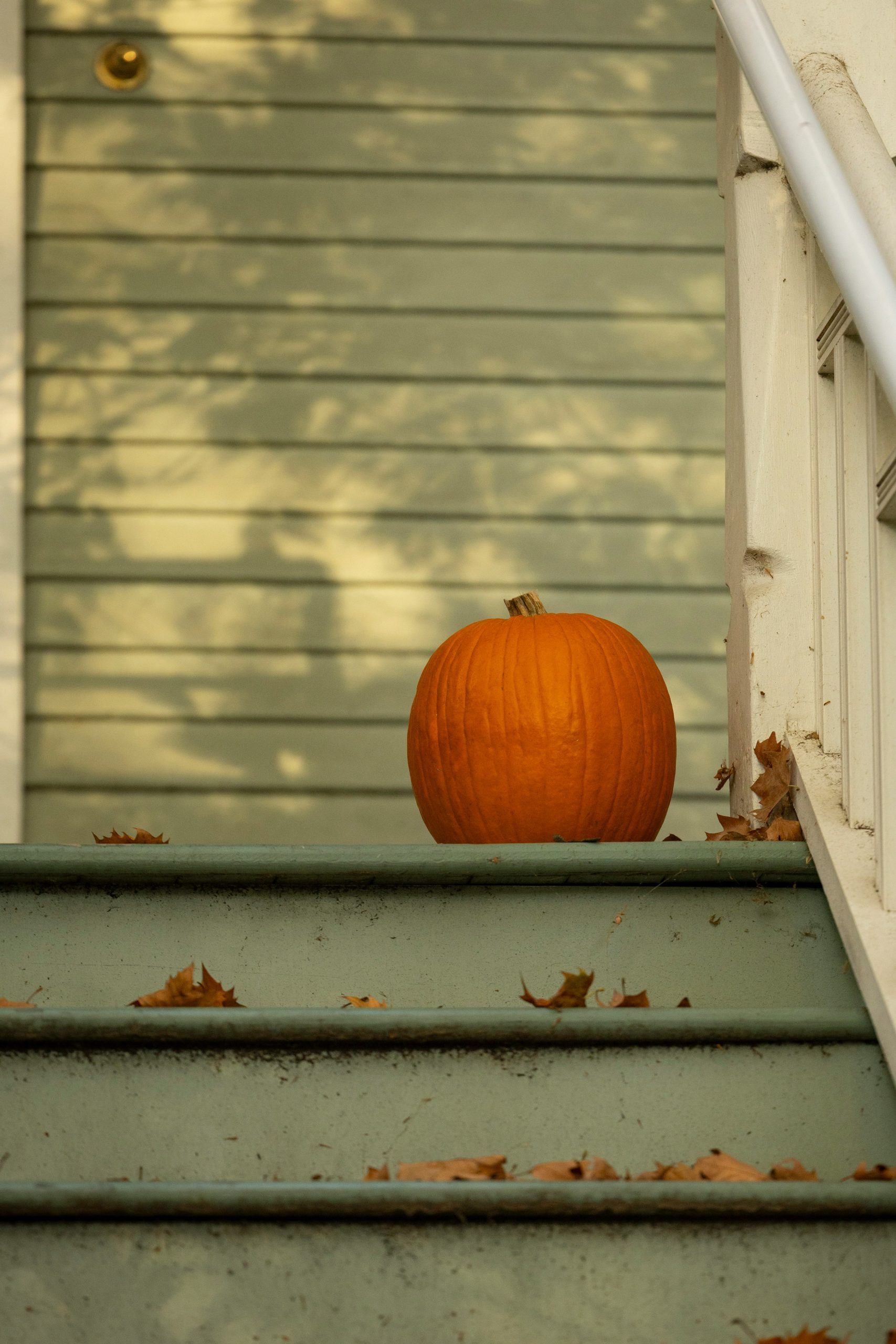 A pumpkin sits on outdoor steps with fallen leaves.