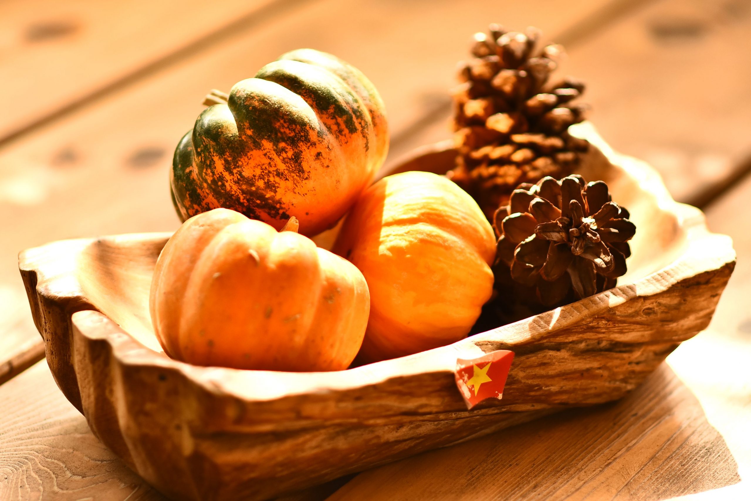 A rustic bowl filled with colorful gourds and pine cones on a wooden table, evoking autumn vibes.