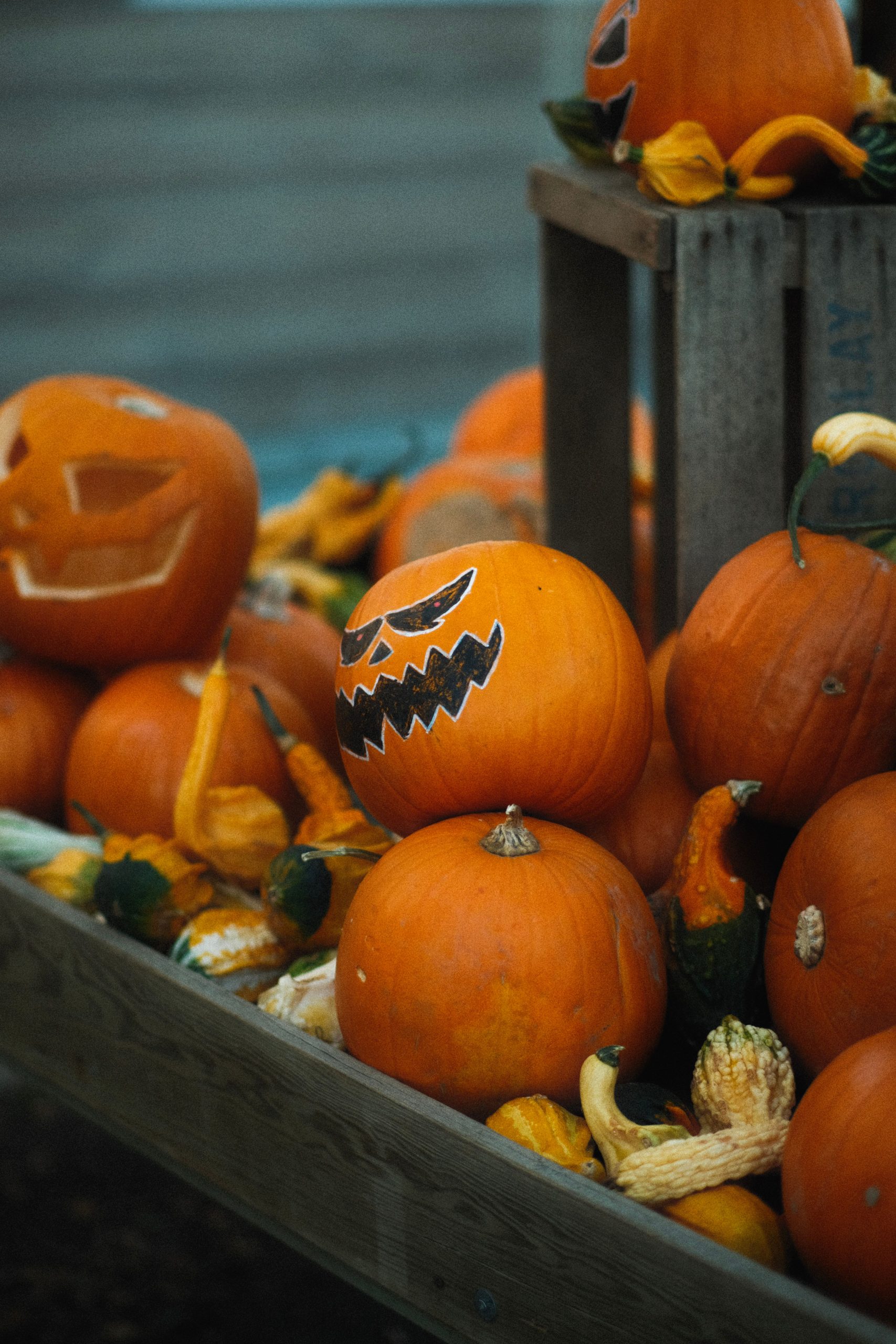 A rustic Halloween display featuring carved pumpkins, gourds, and festive decorations on a wooden crate.
