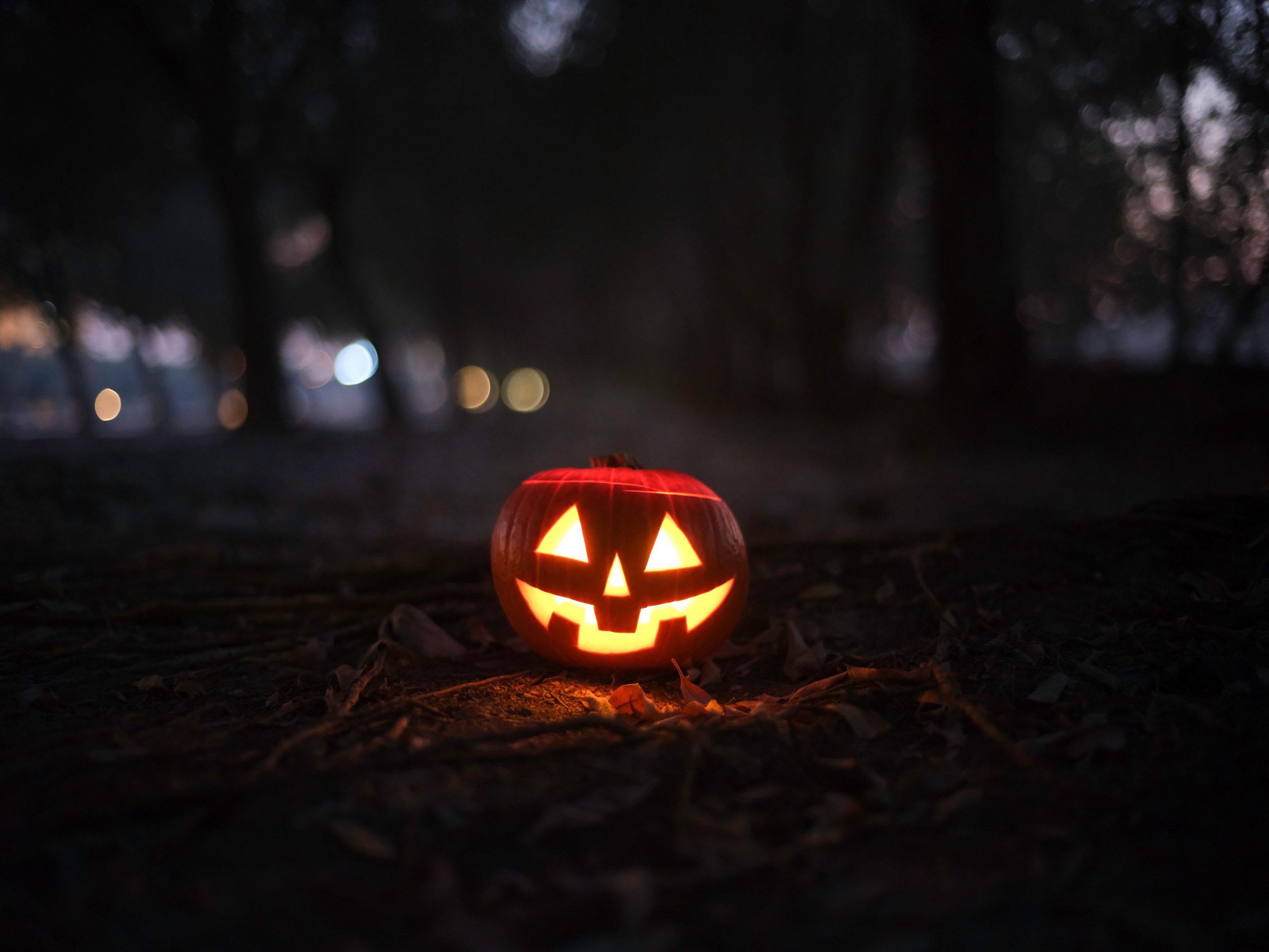 A spooky Jack-O'-Lantern emits an eerie glow in a dark forest, perfect for Halloween.