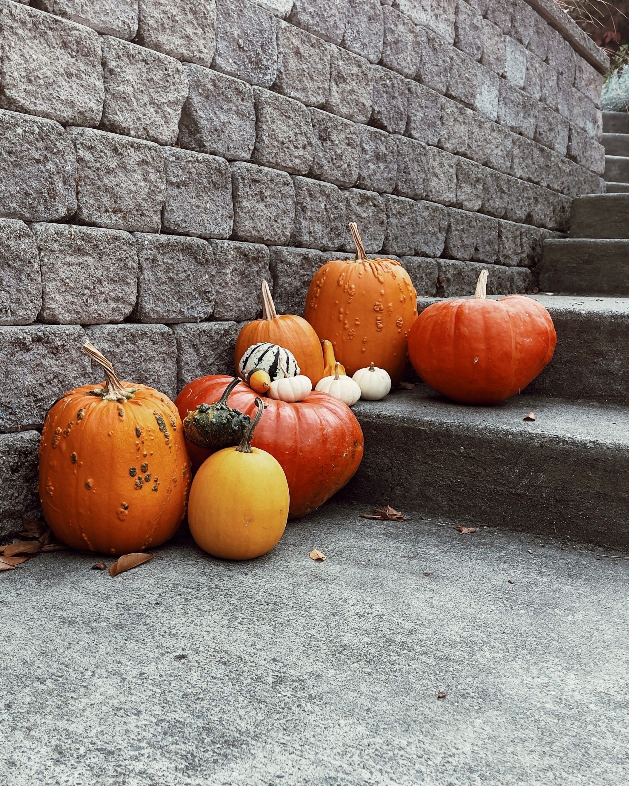 A variety of pumpkins arranged on stone steps, capturing the autumn harvest in Seattle.
