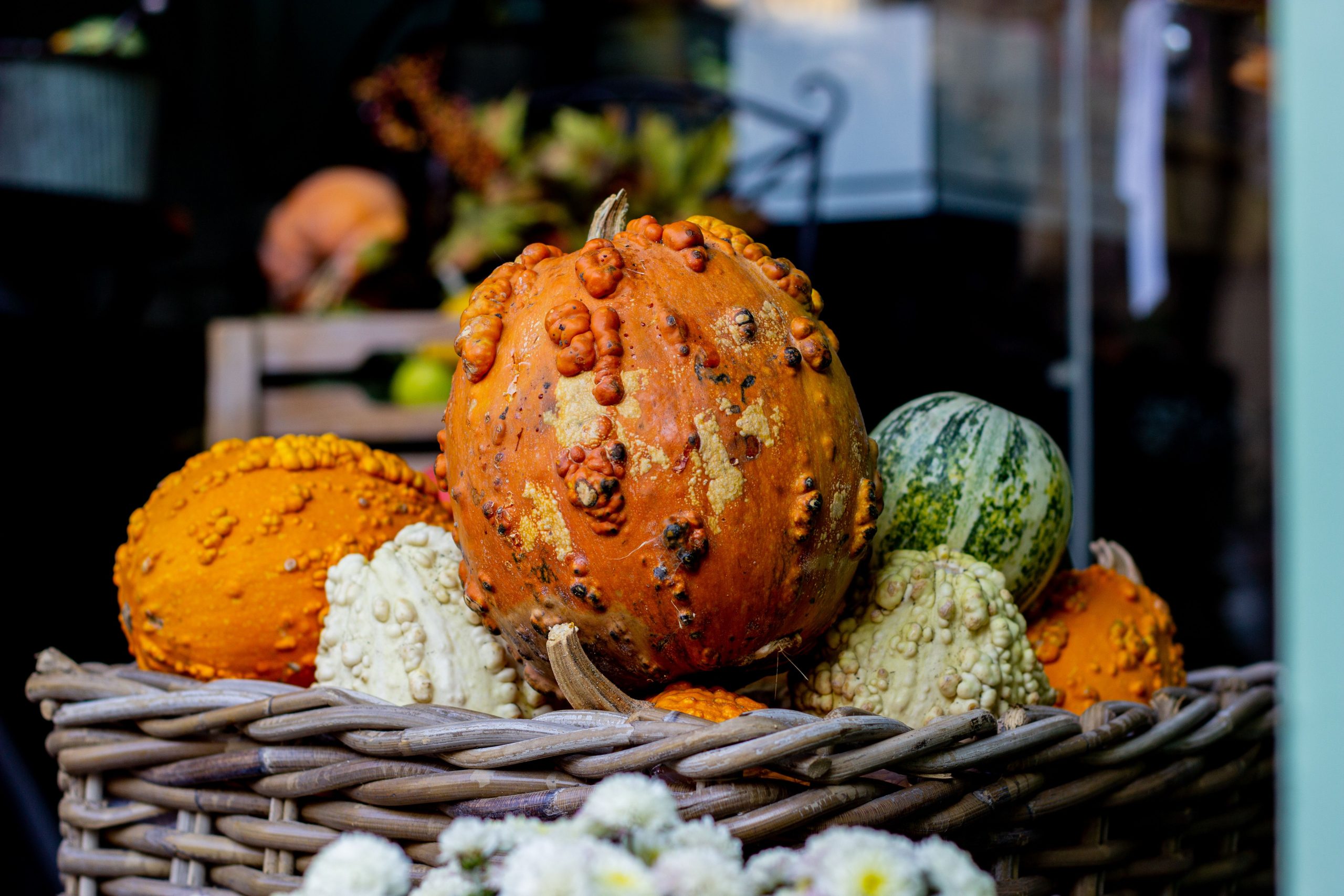 A vibrant display of various colorful gourds in a wicker basket, perfect for autumn decor.