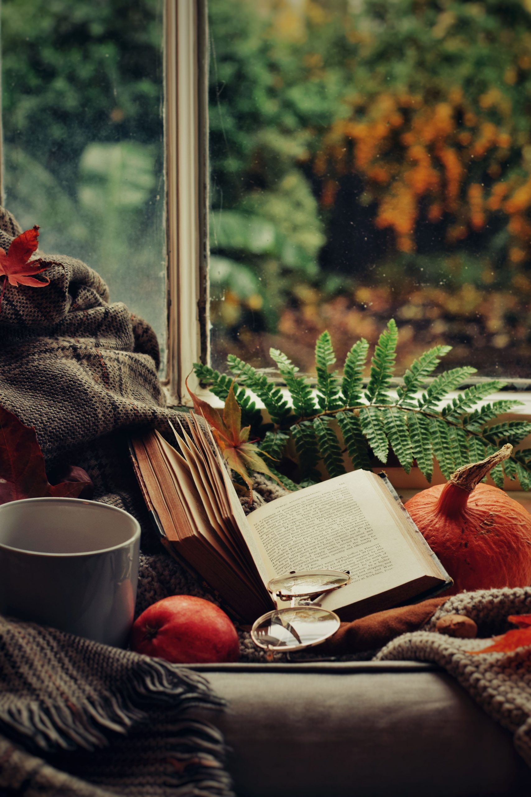 A warm, inviting reading nook with an open book and cozy blanket, perfect for autumn relaxation.