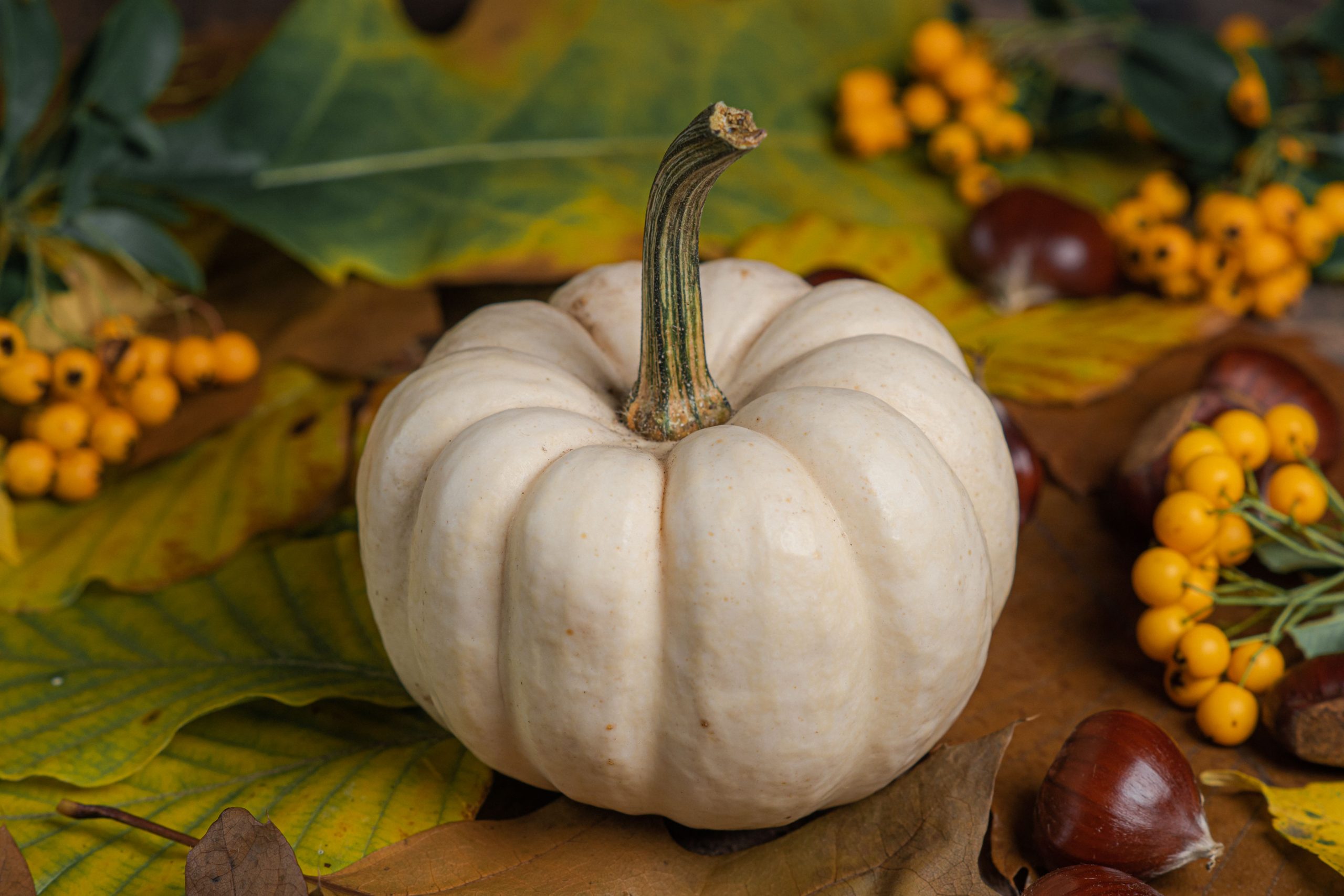 A white pumpkin sits among vibrant autumn leaves and berries, capturing the essence of fall.