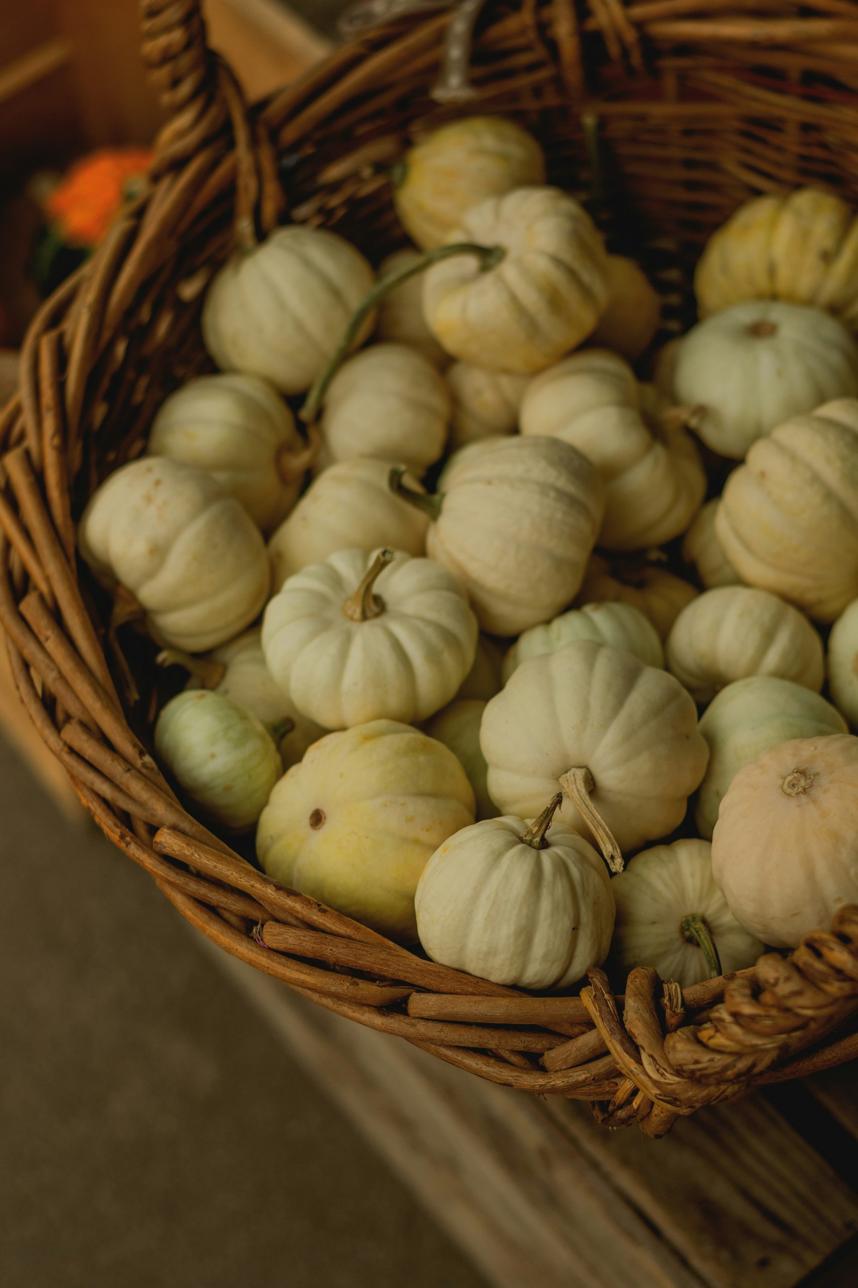 A woven basket filled with small white pumpkins