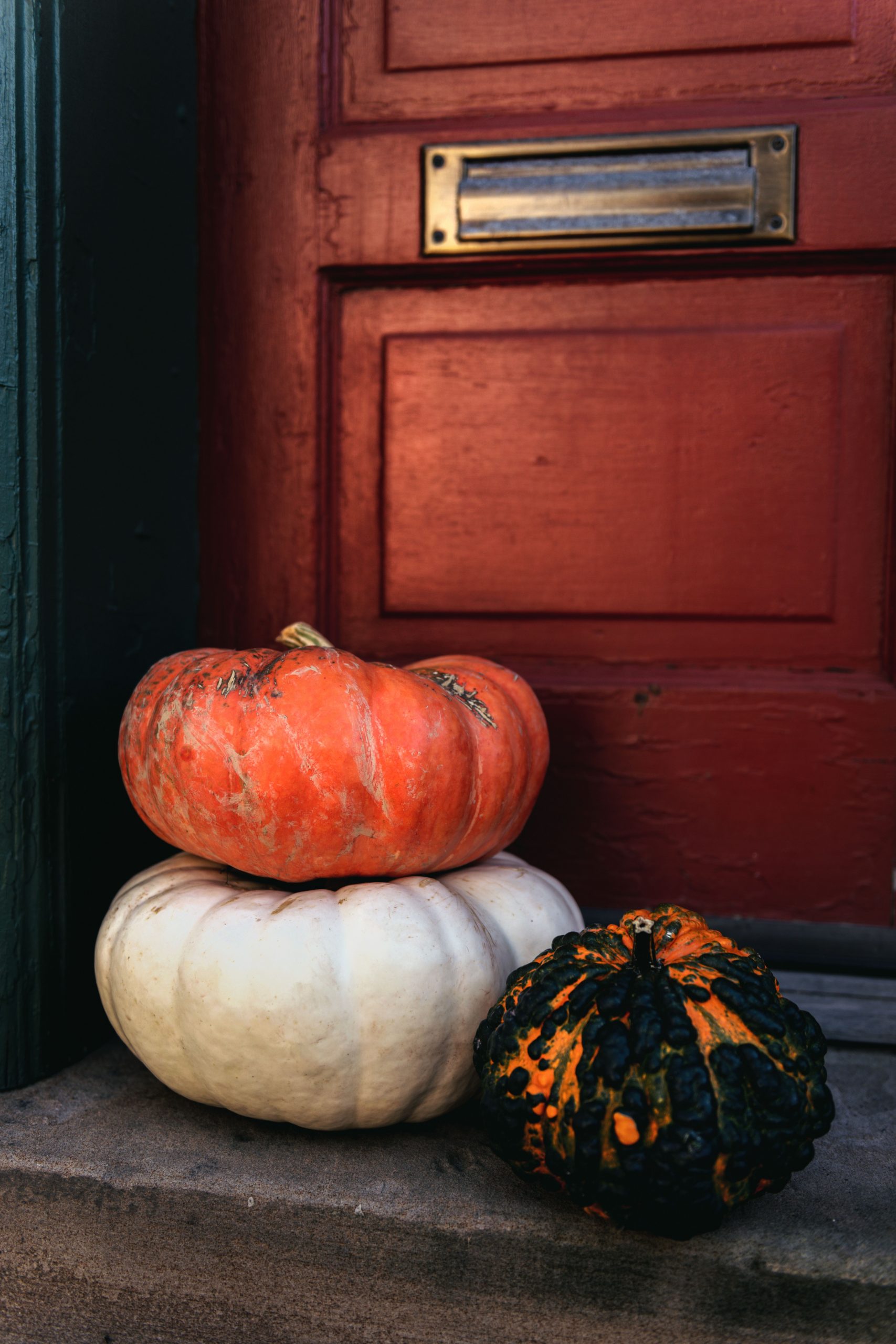 Aesthetic display of colorful squashes against a wooden red door, evoking fall vibes.