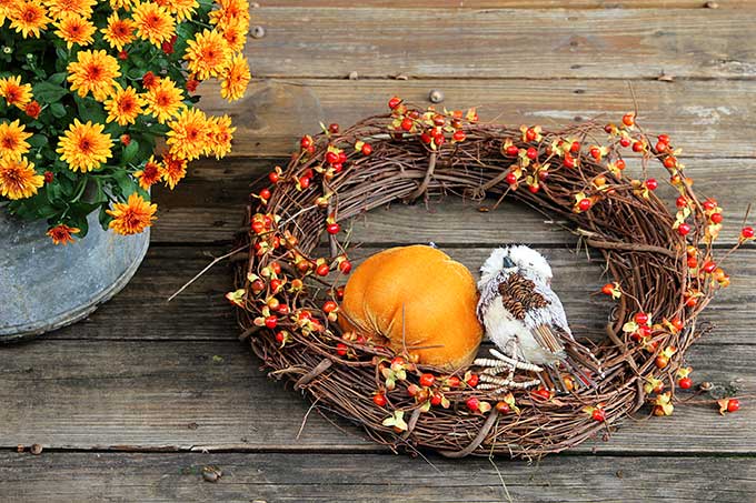 BEST DIY FALL WREATHS FOR YOUR FRONT DOOR STORY