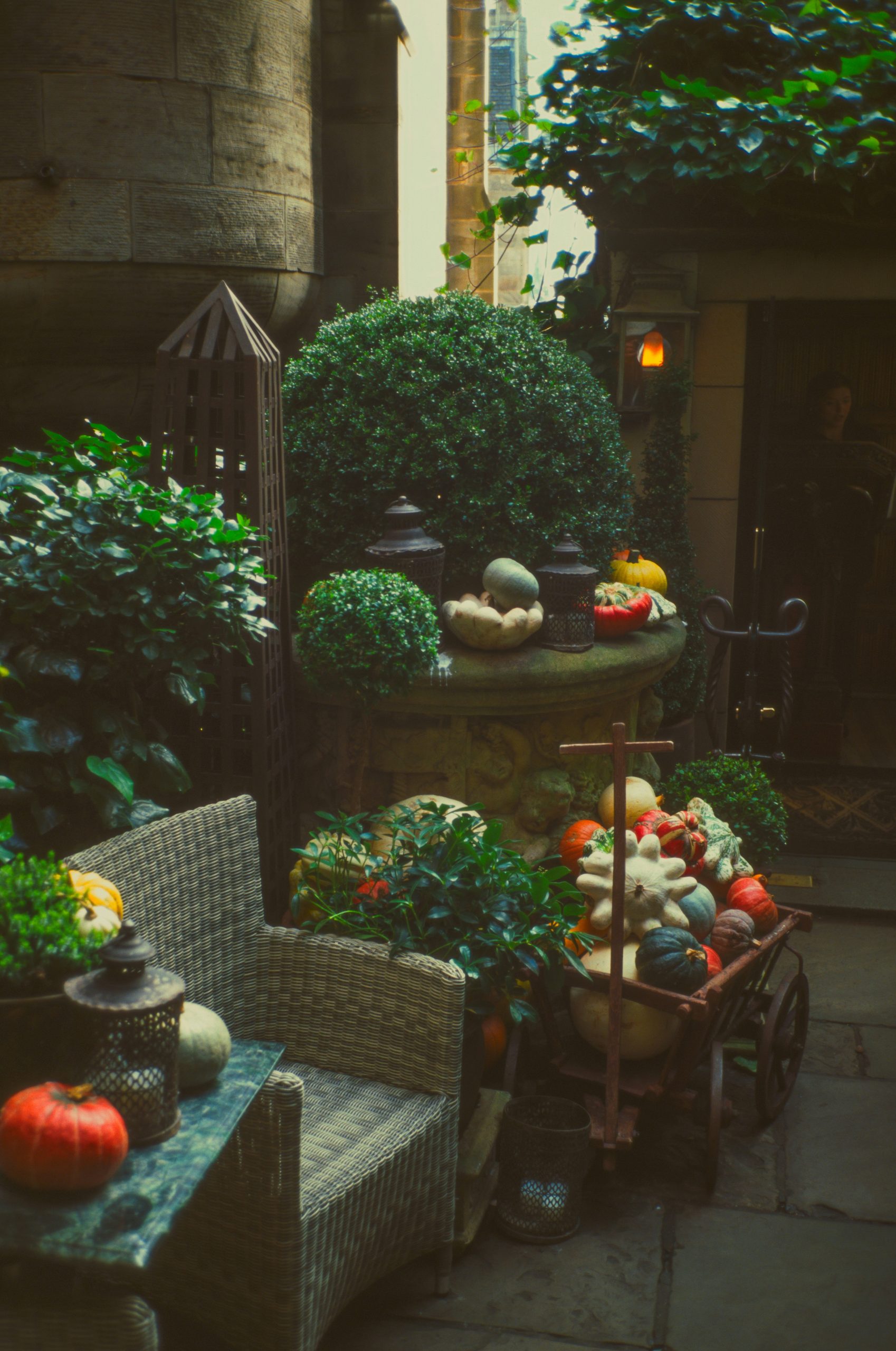 Charming autumn courtyard in Edinburgh, afternoon glow, rustic decor with pumpkins.